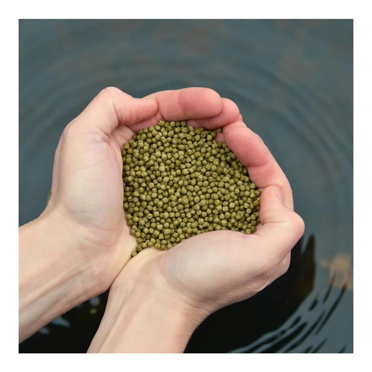 Lyra Pet Pond Koi Beauty Pellets Staple (3.0 mm) Fisch und Teichfutter