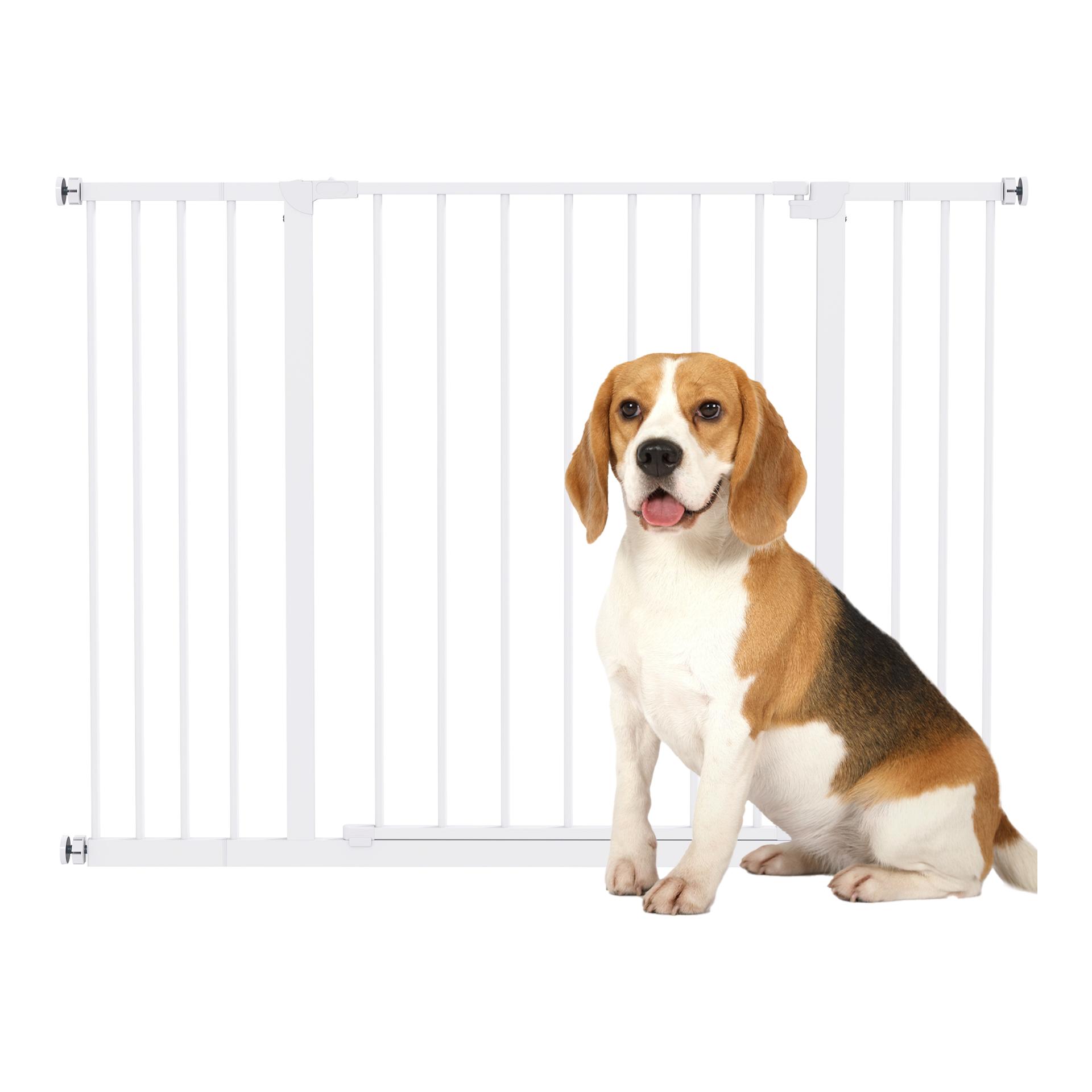 Mainer Hundeabsperrgitter Weiss