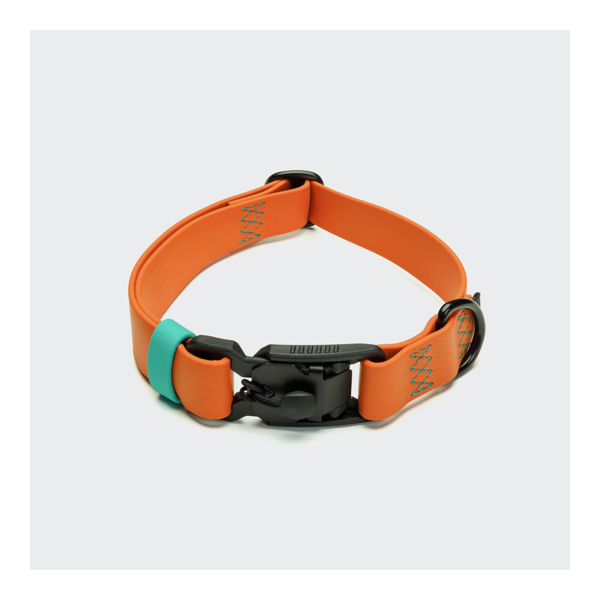 Orange / Aqua