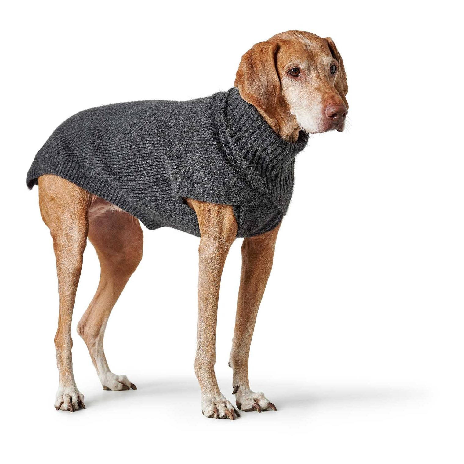 Hunter Pull pour chien Genève