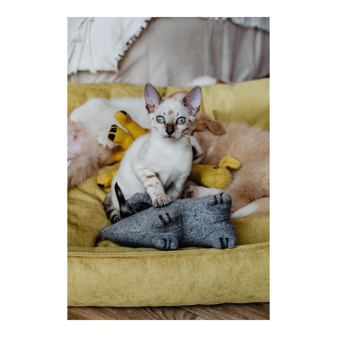 Hunter Hundesofa Eiby - gelb