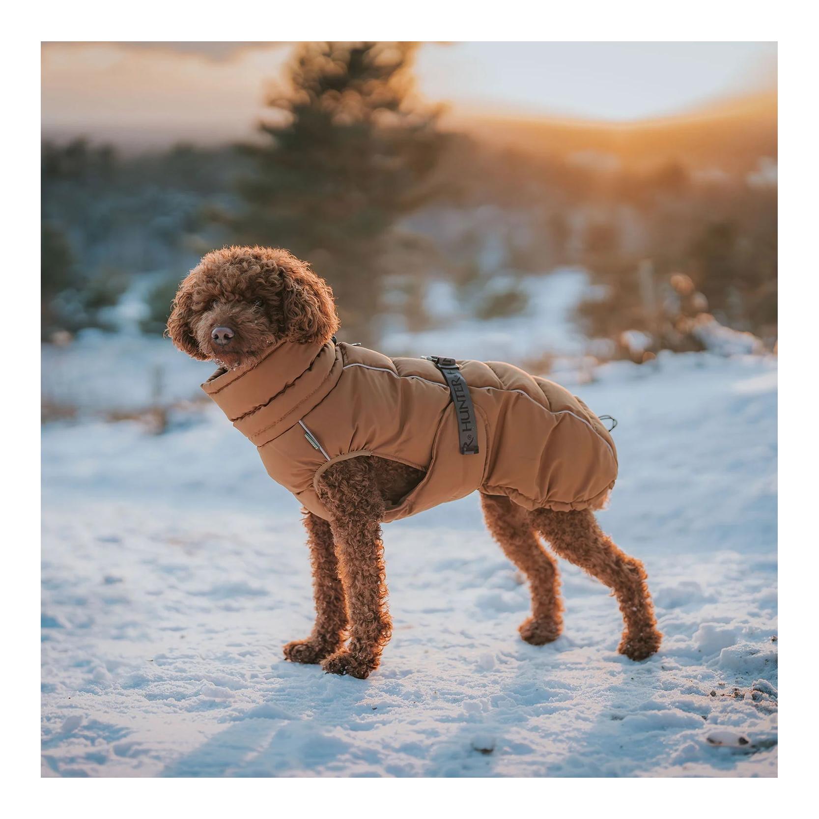 Hunter Manteau pour chien Paxson