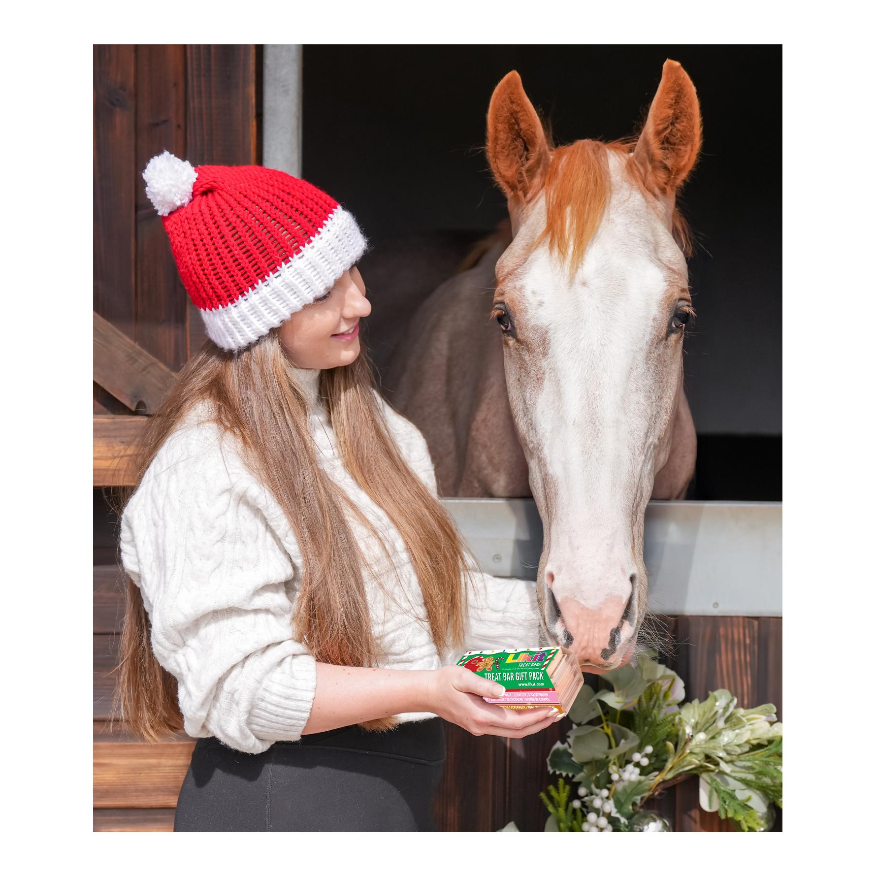Likit Likit Treat Bar XMas Packung