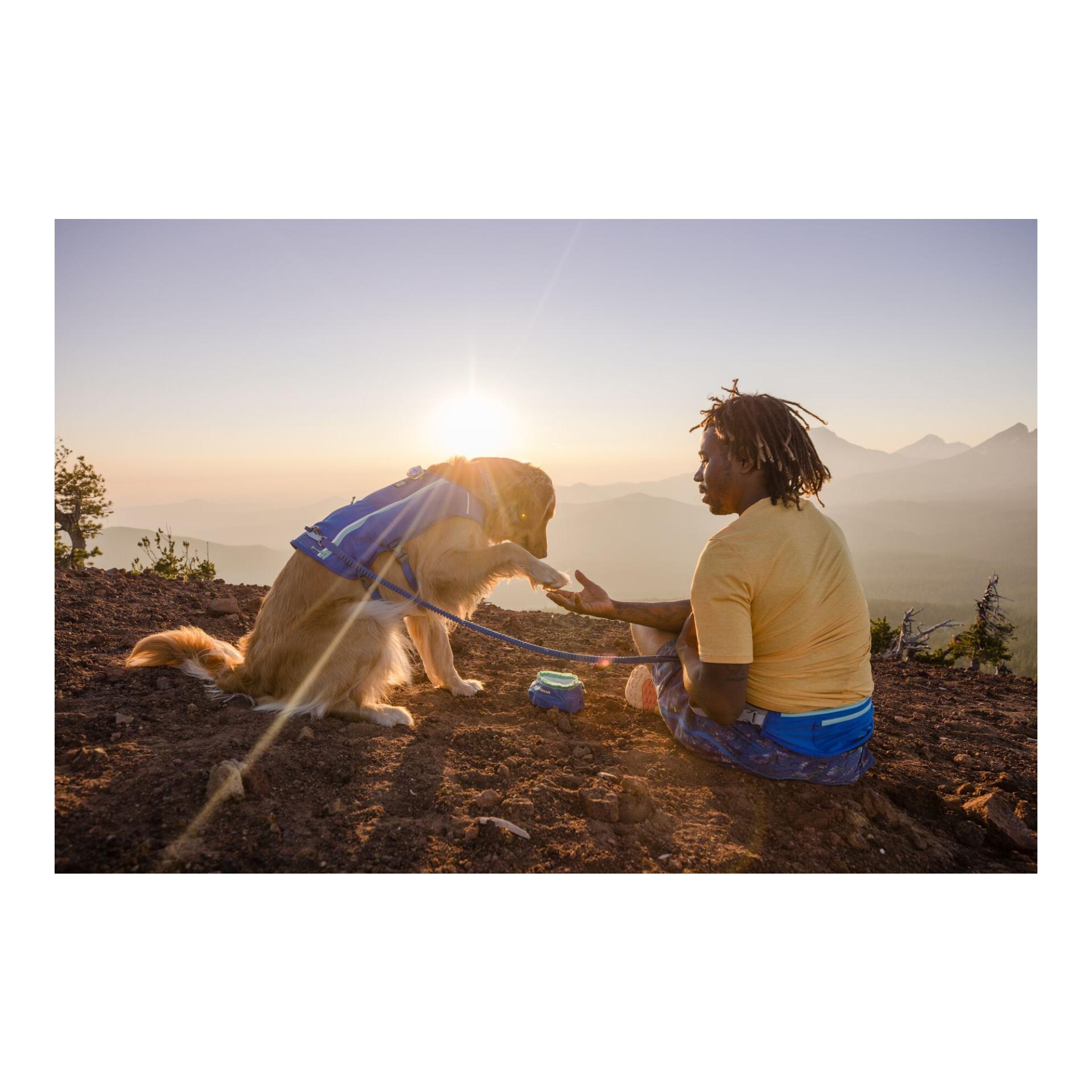 Ruffwear Trail Runner™ Running Vest Hundeweste