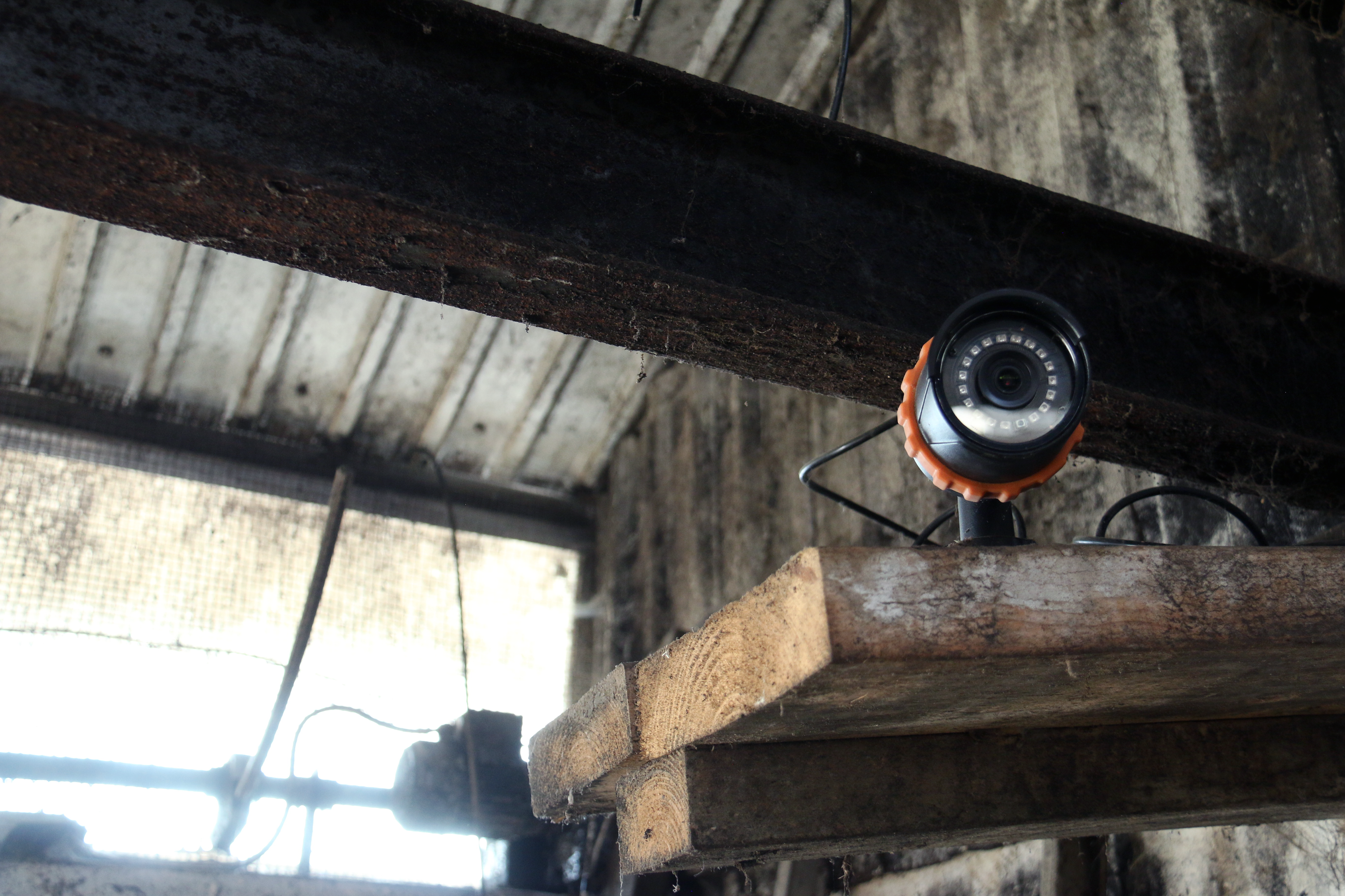 LudaFarm FarmCam Flex 5MP - Kit de démarrage