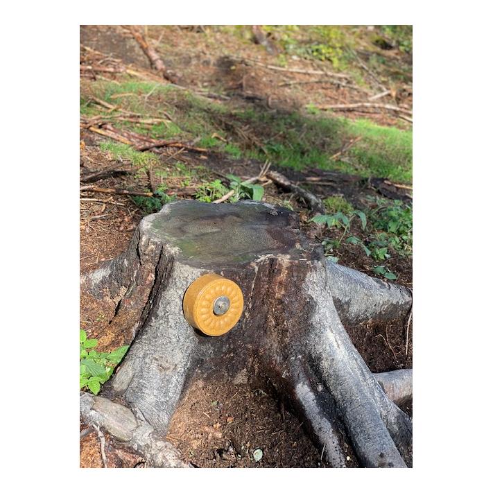 Wildlutscher Leckstein Sauerdorn Beere (süss/sauer)