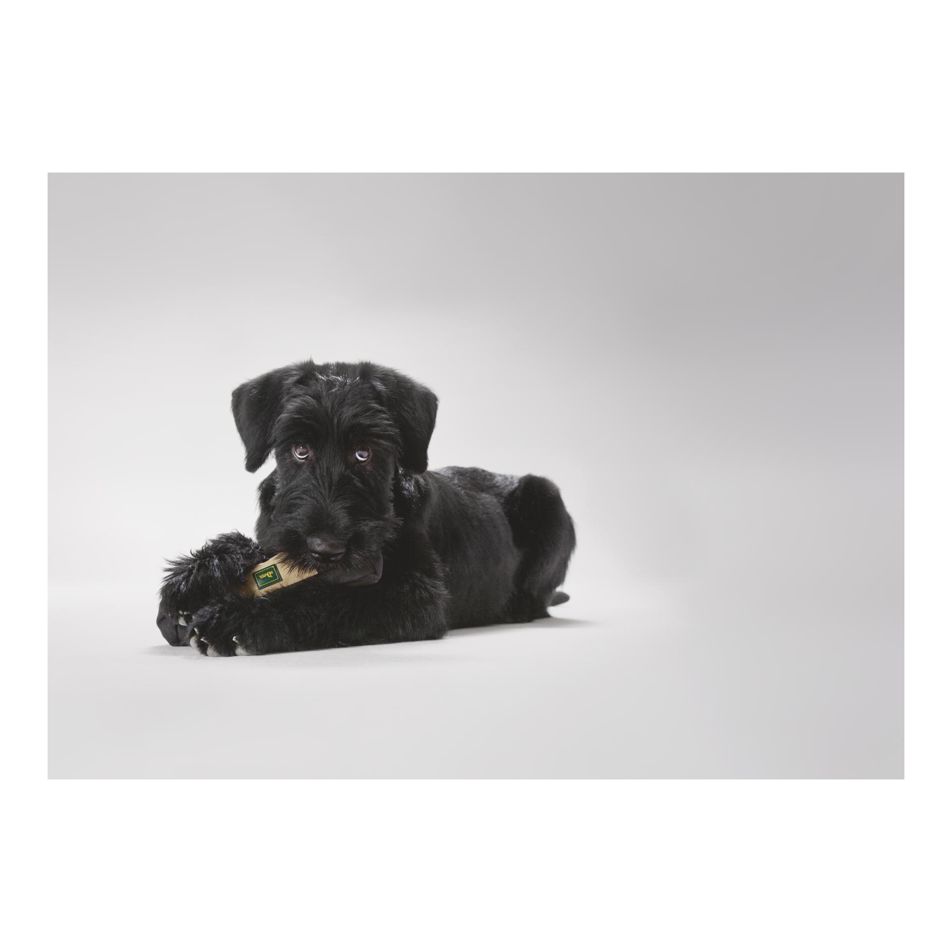 Hunter Snack Dummy Trainer