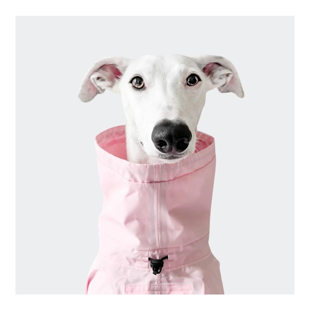 Cloud 7 Imperméable pour chiens Activ