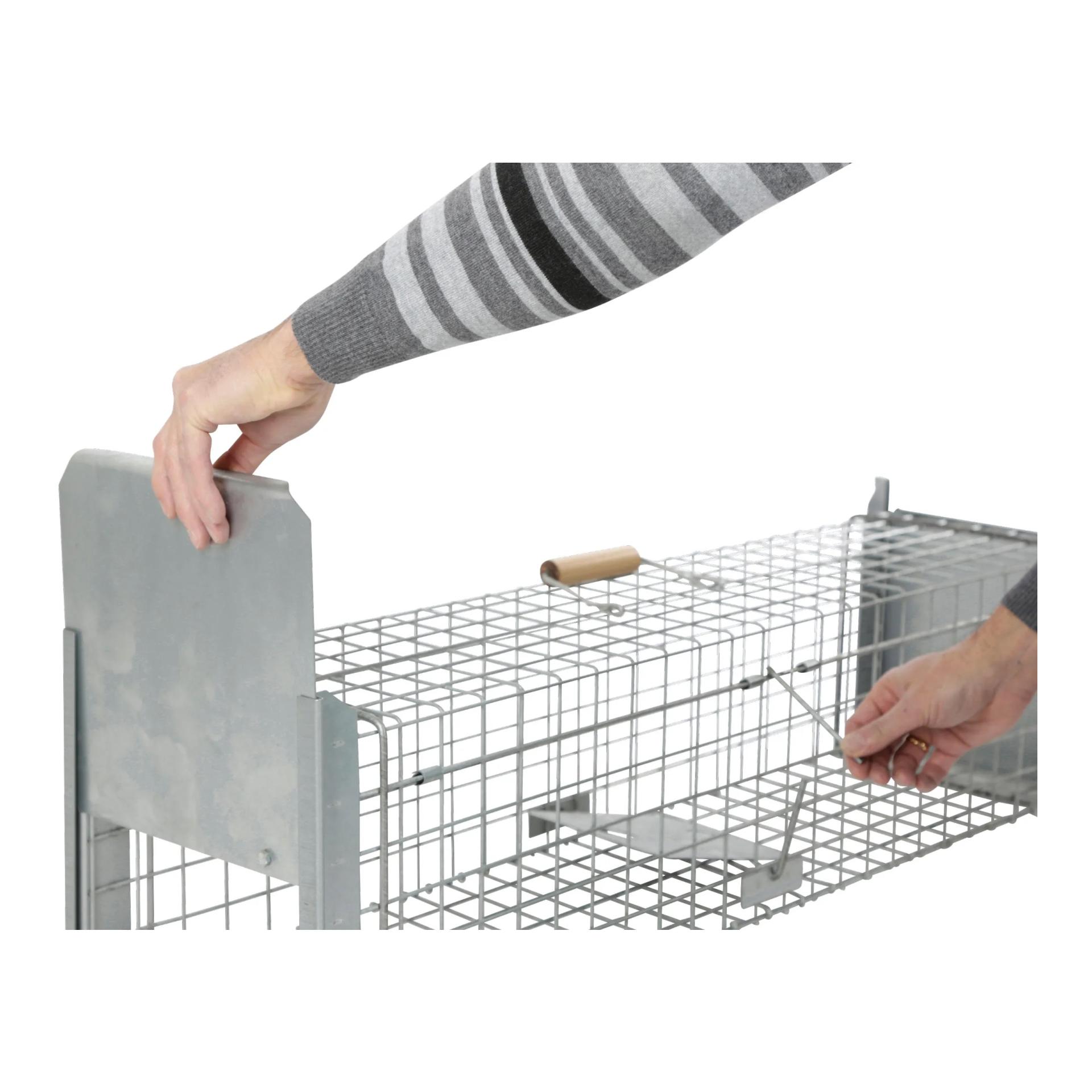 Kerbl Piège à cage Alive Predator Super