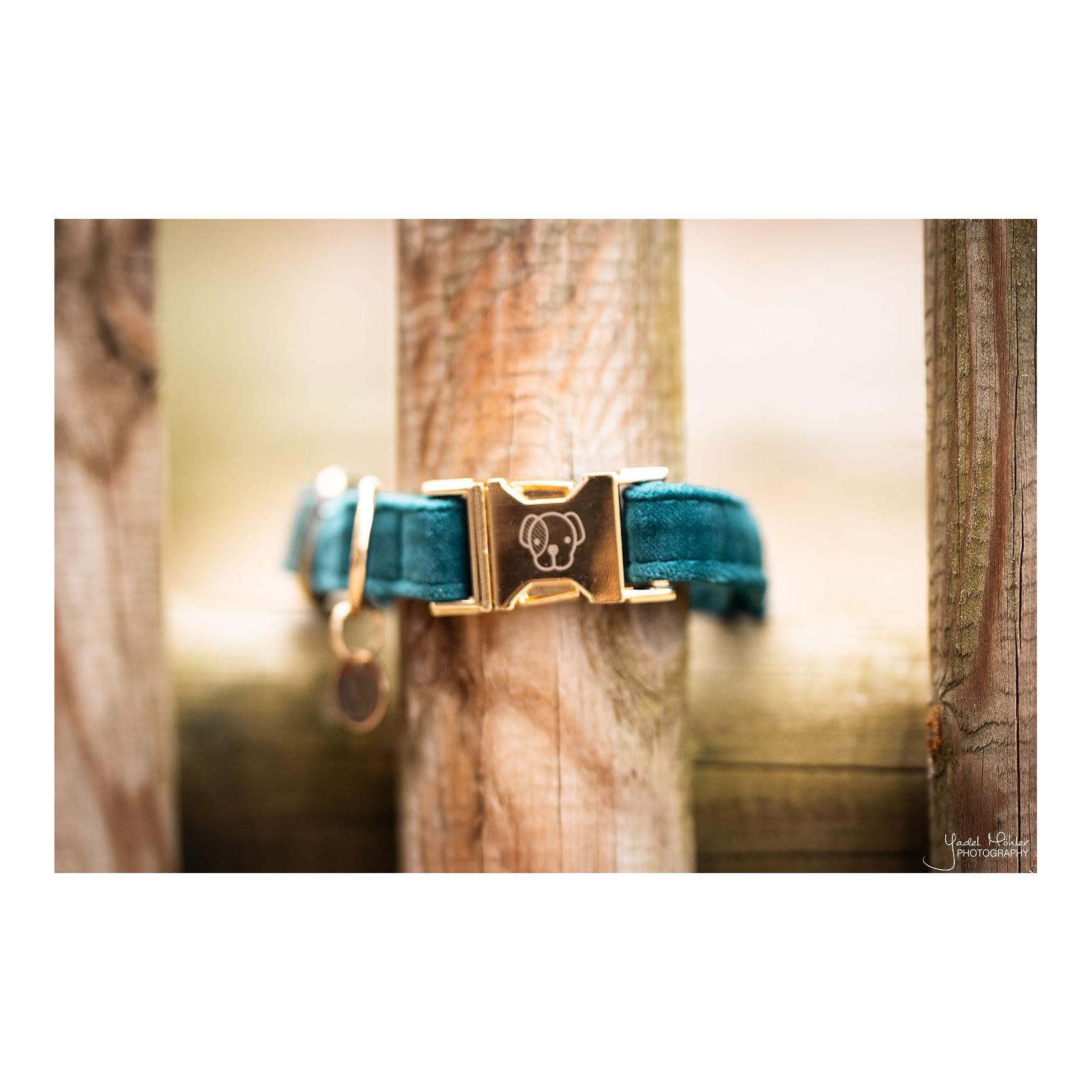 Kentucky Dogwear Hundehalsband Velvet - emerald
