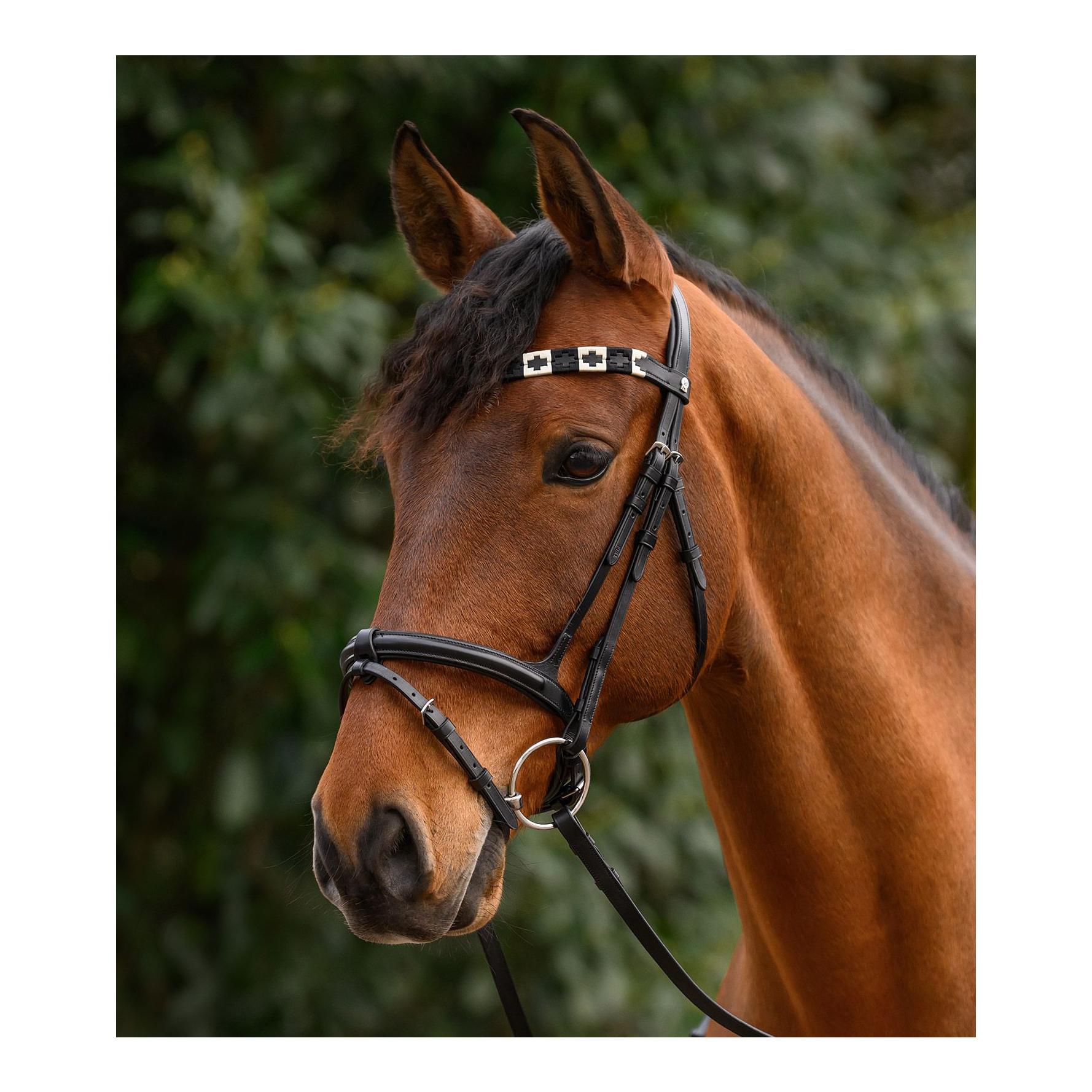 Waldhausen Stirnband Polo X-Line