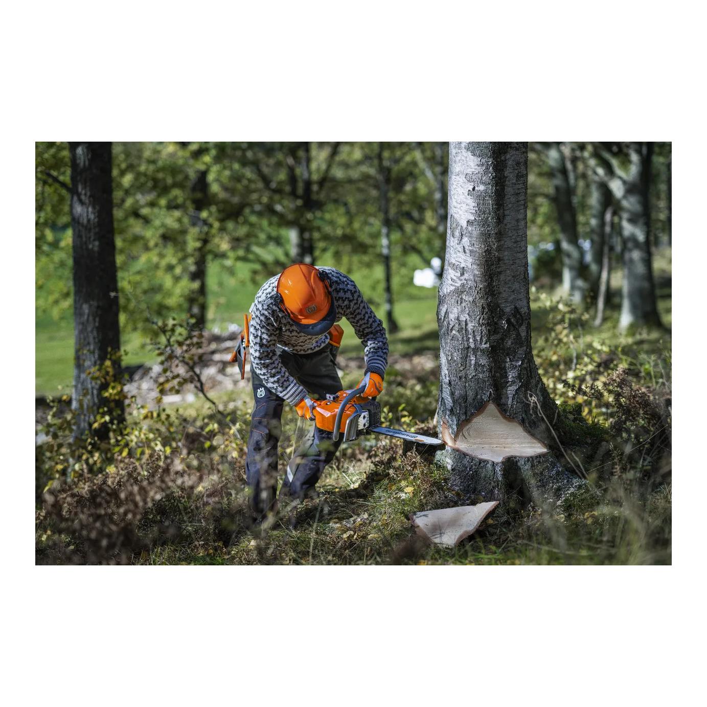 Husqvarna Motorsäge 450S