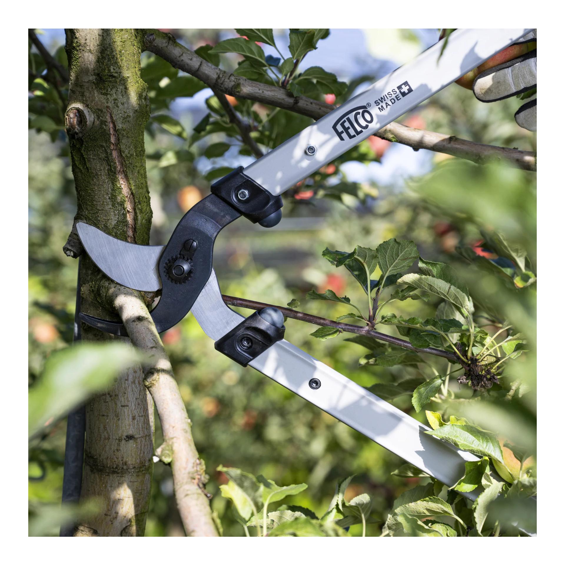 Felco FELCO 221-90 Sécateur d'élagage