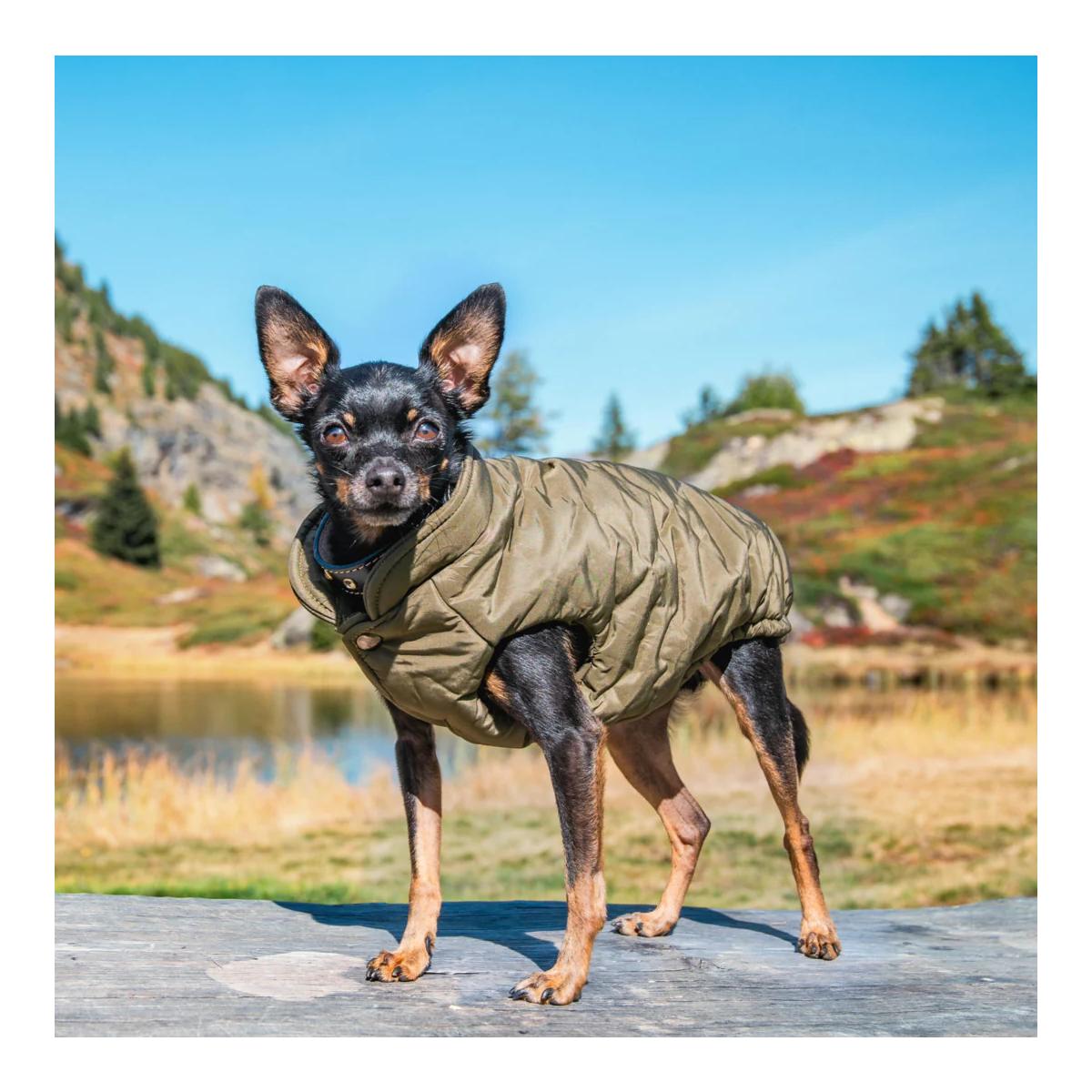 Carolina Corrodi Manteau pour chien Kitzbühel