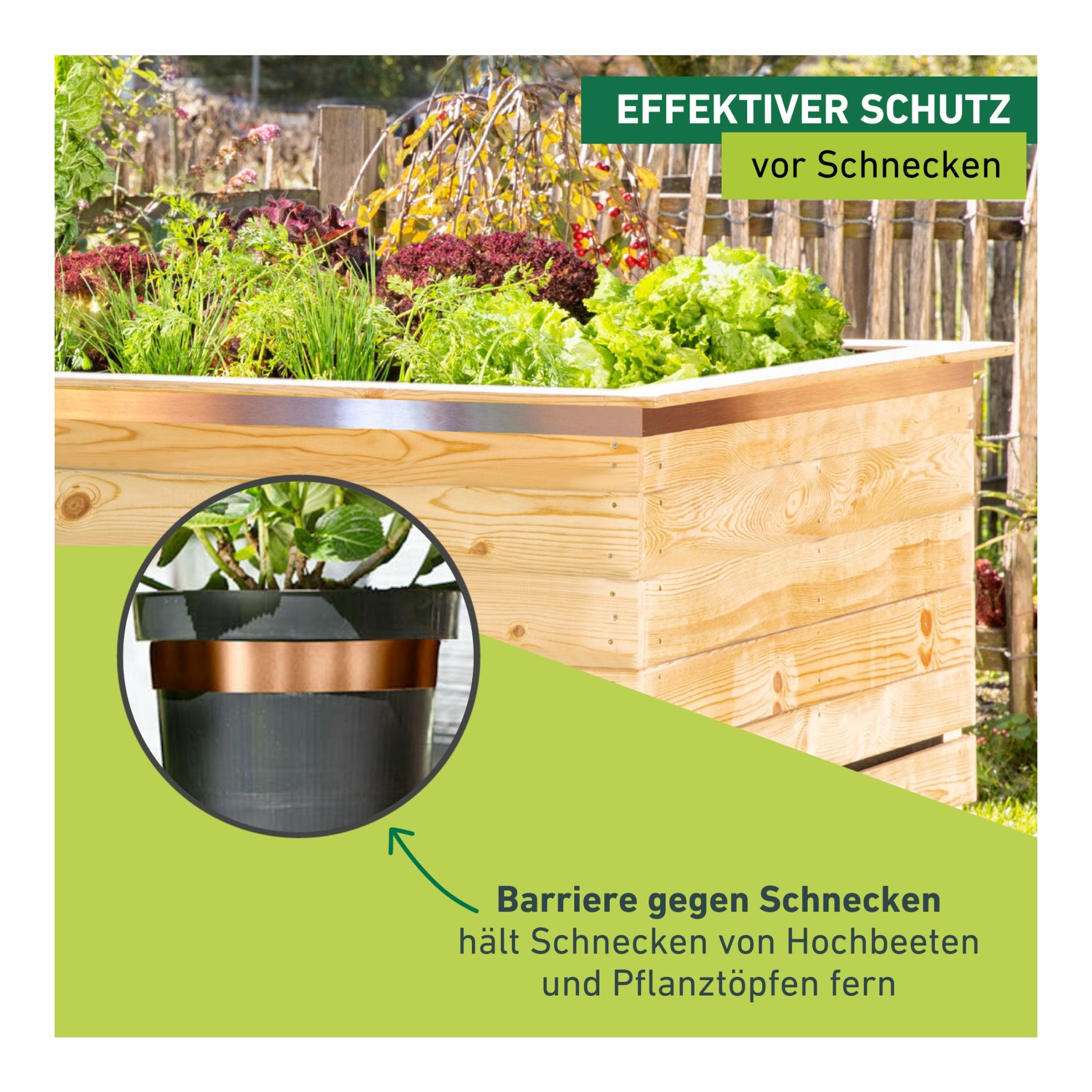 Windhager Bande anti-limaces