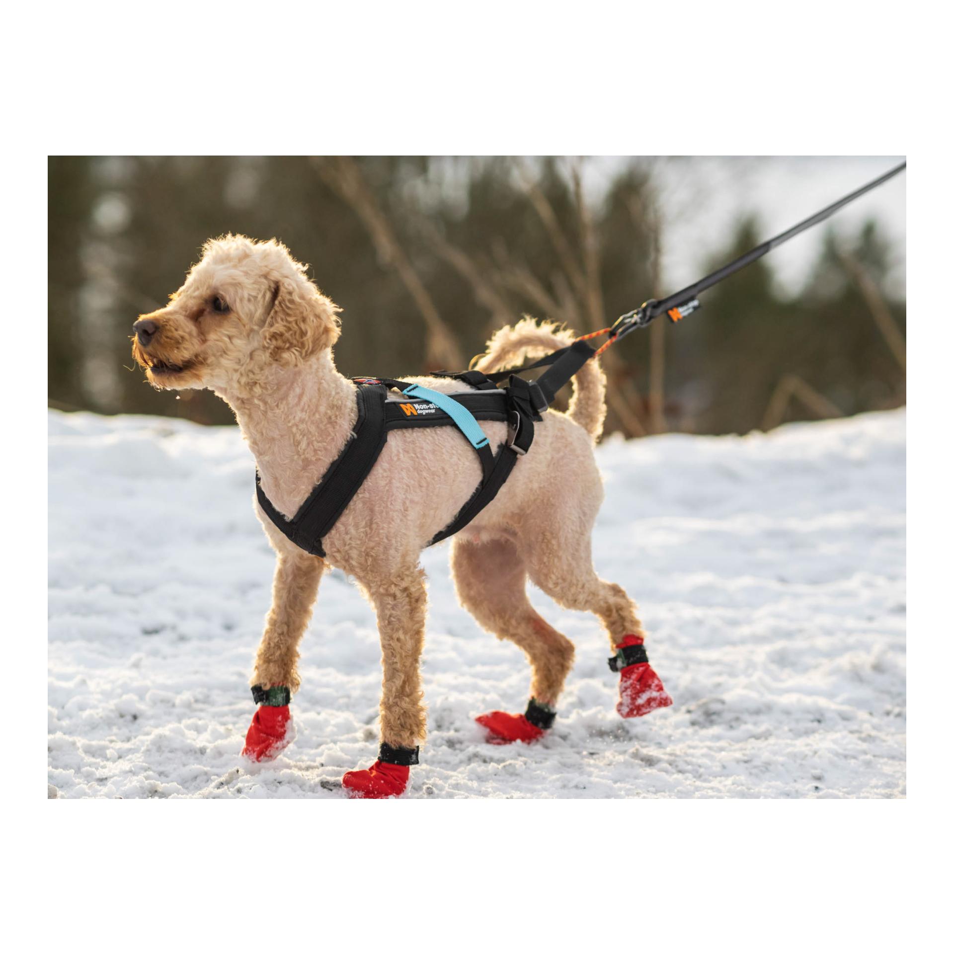 Non-stop Dogwear Freemotion Harness
