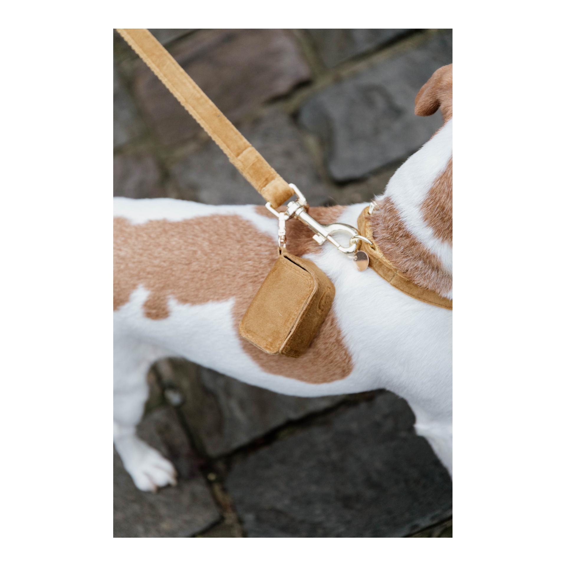 Kentucky Dogwear Distributeur de sacs à crottes Velvet Square