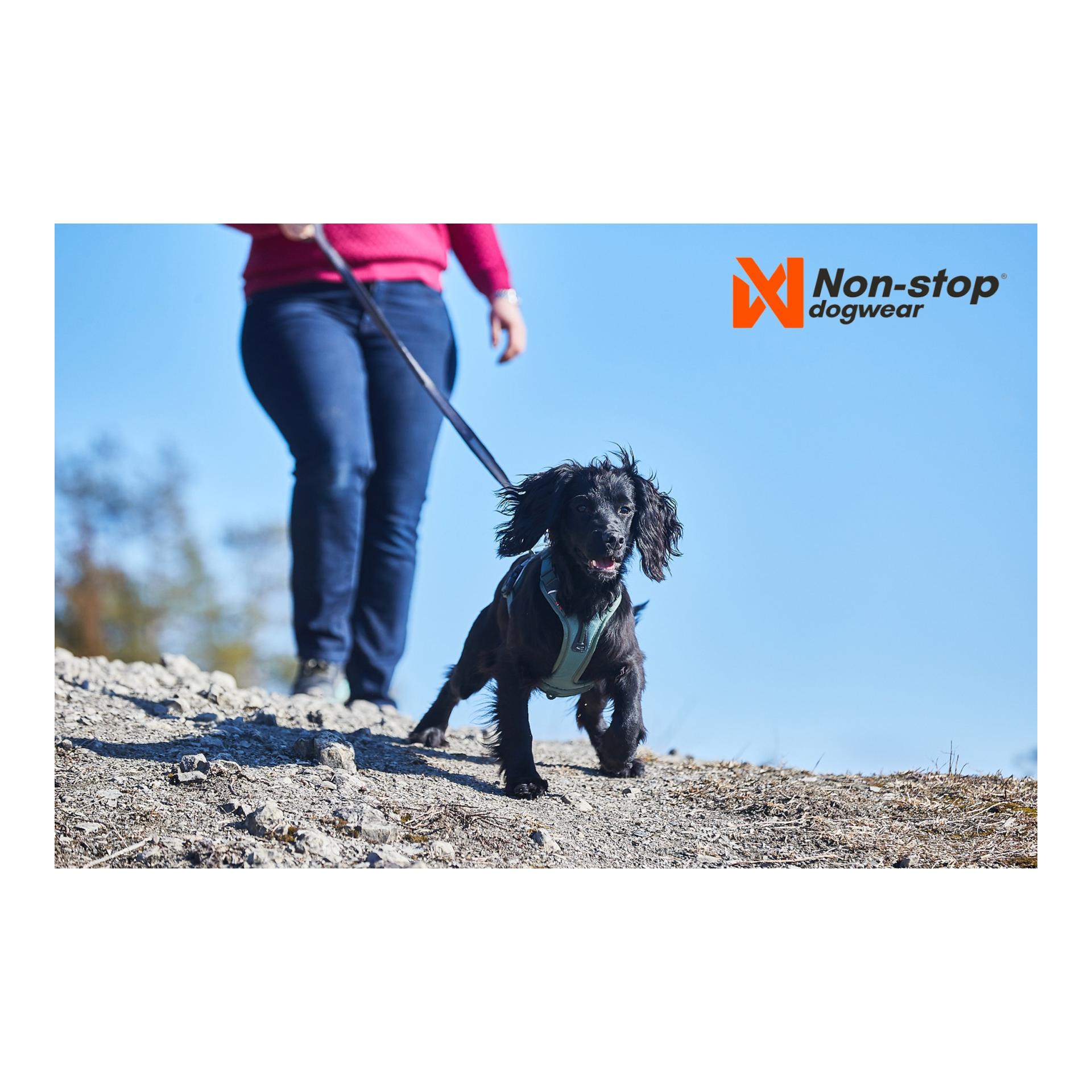 Non-stop Dogwear Ramble Harness - green