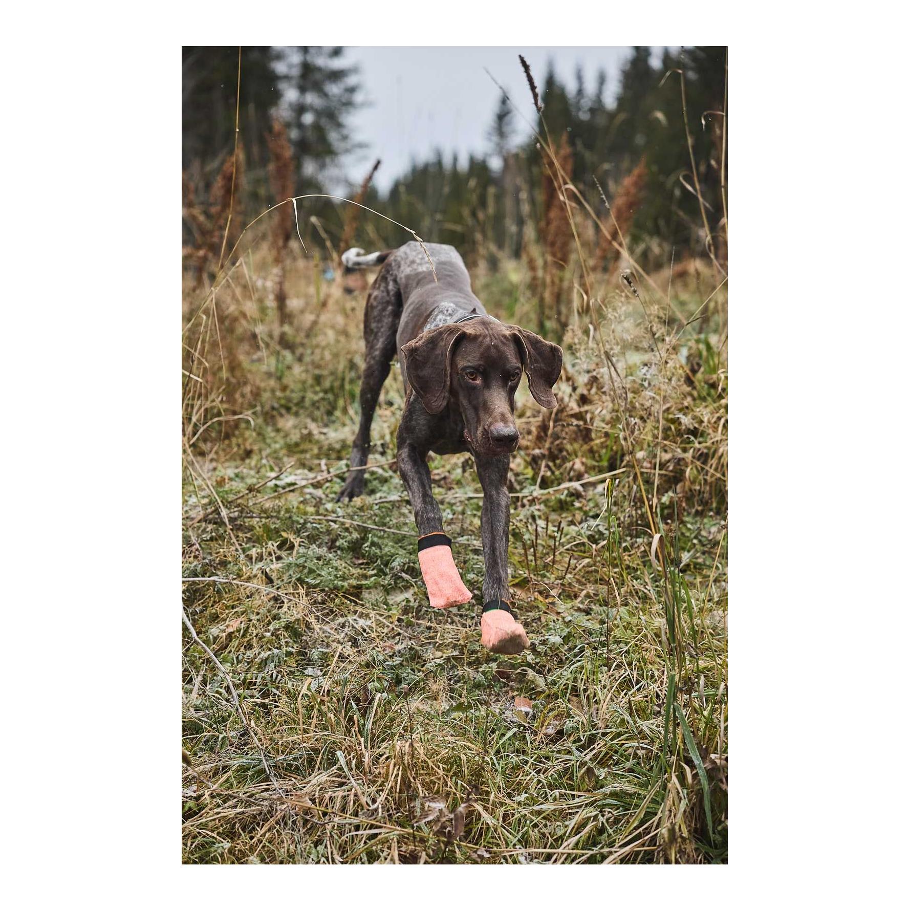 Non-stop Dogwear Protector Light Socks Hundeschuhe