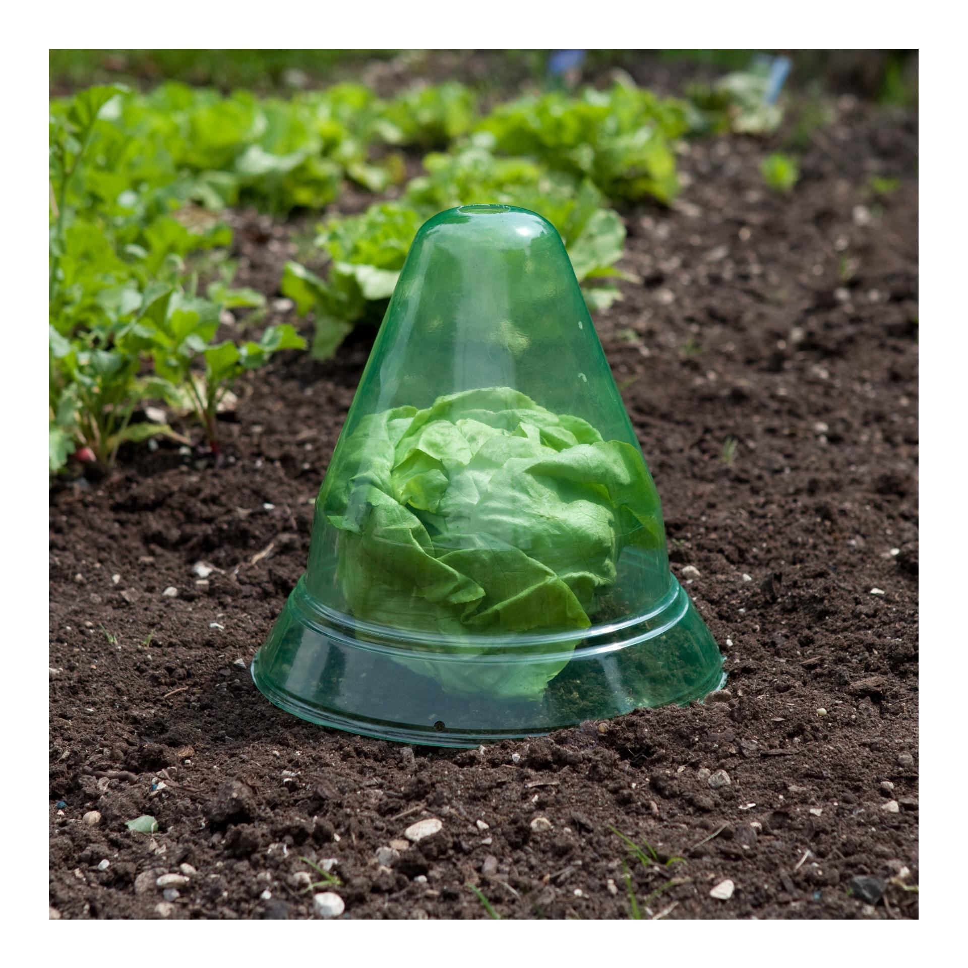 Windhager Cloche pour plants
