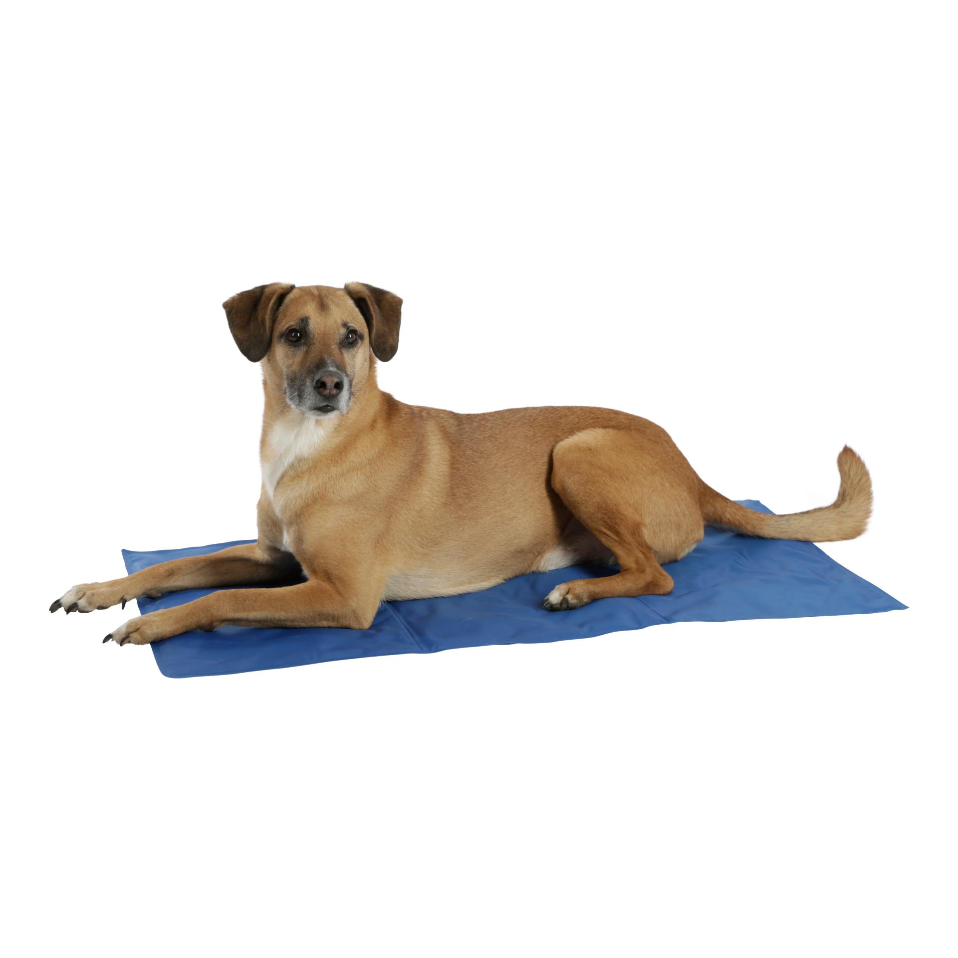 Kerbl Pet Tapis rafraîchissant pour chiens - bleu