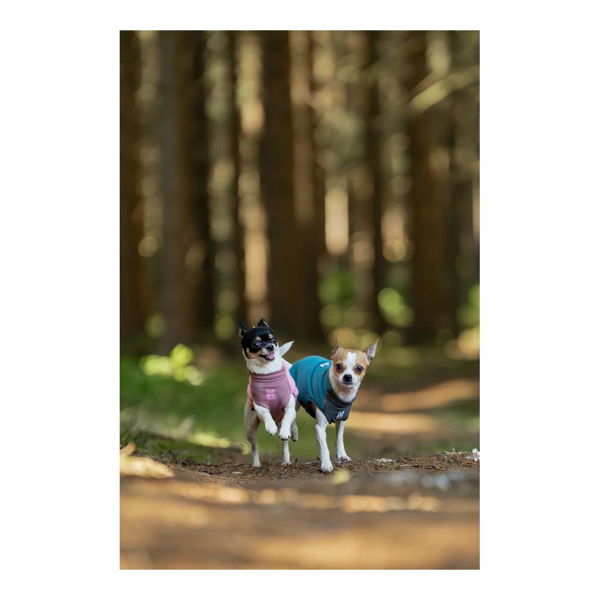 Non-stop Dogwear Pull pour chien Trail quest fleece pullover