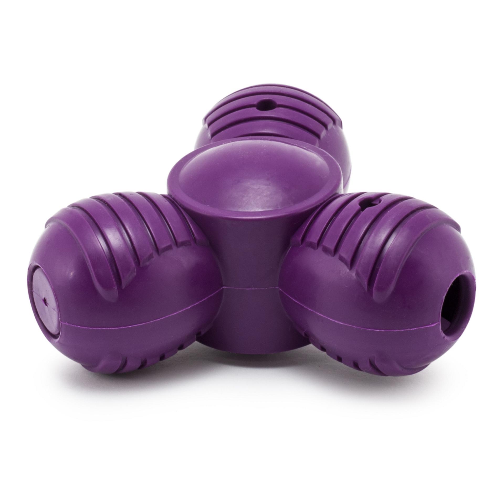 PetSafe Busy Buddy Squeak 'n Treat Troog