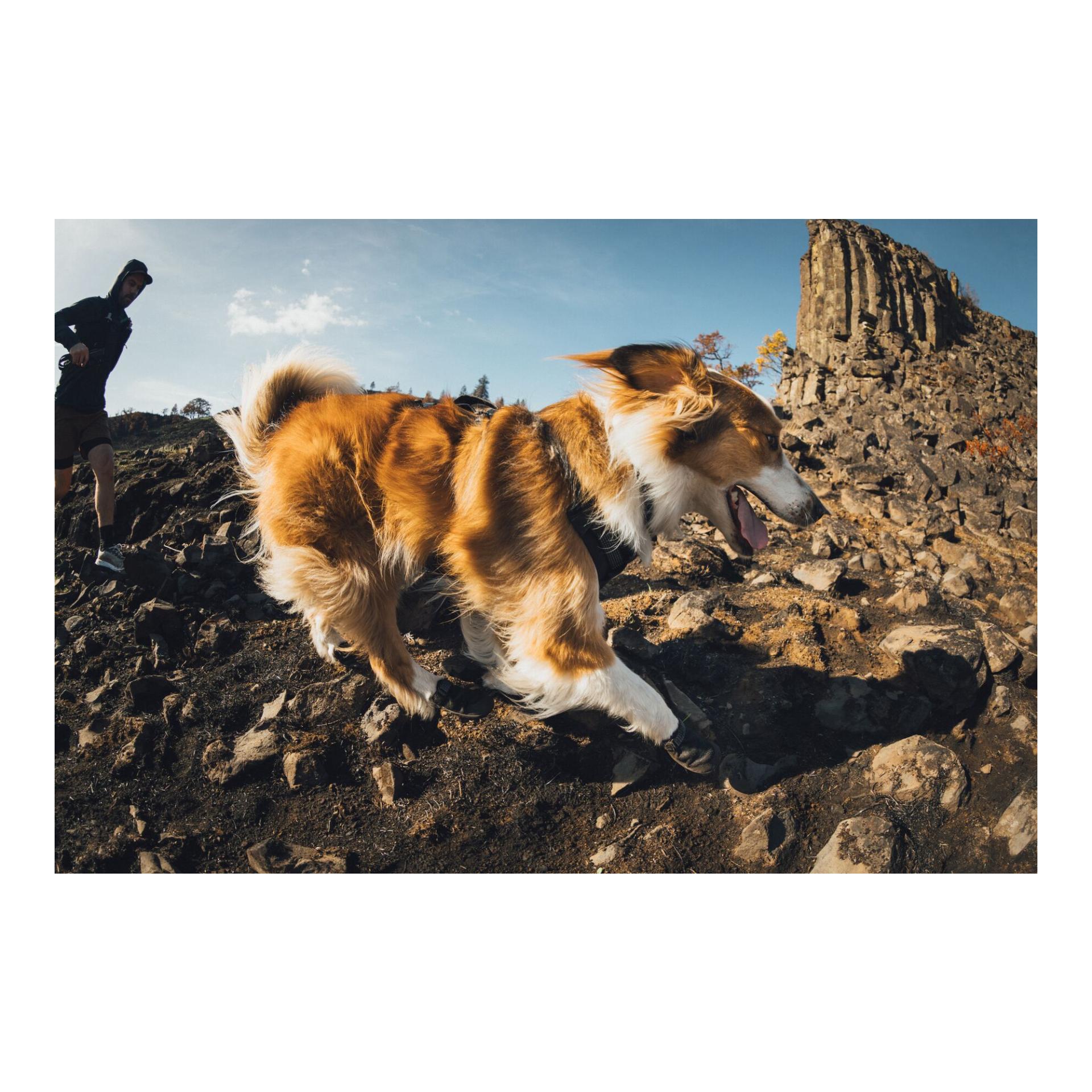 Ruffwear Ridgeline™ Chaussures pour chiens