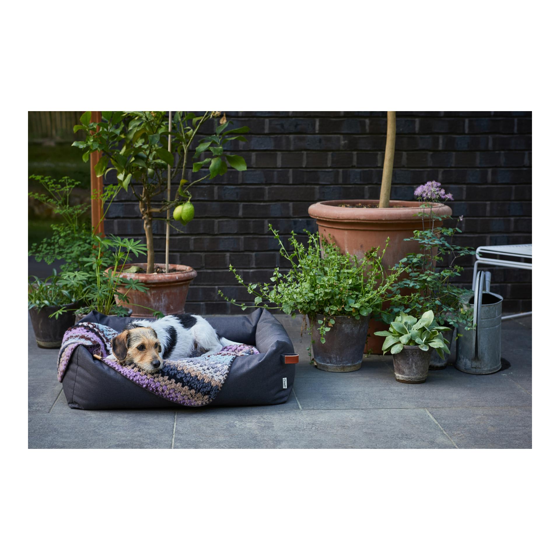Cloud 7 Lit pour chien Sleepy - Graphite Outdoor