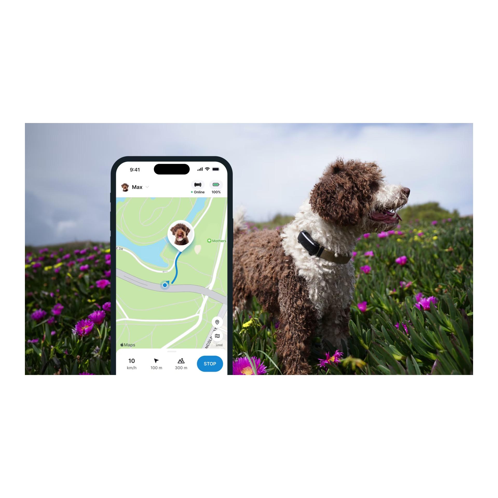 Tractive Tracker GPS pour chiens DOG 6