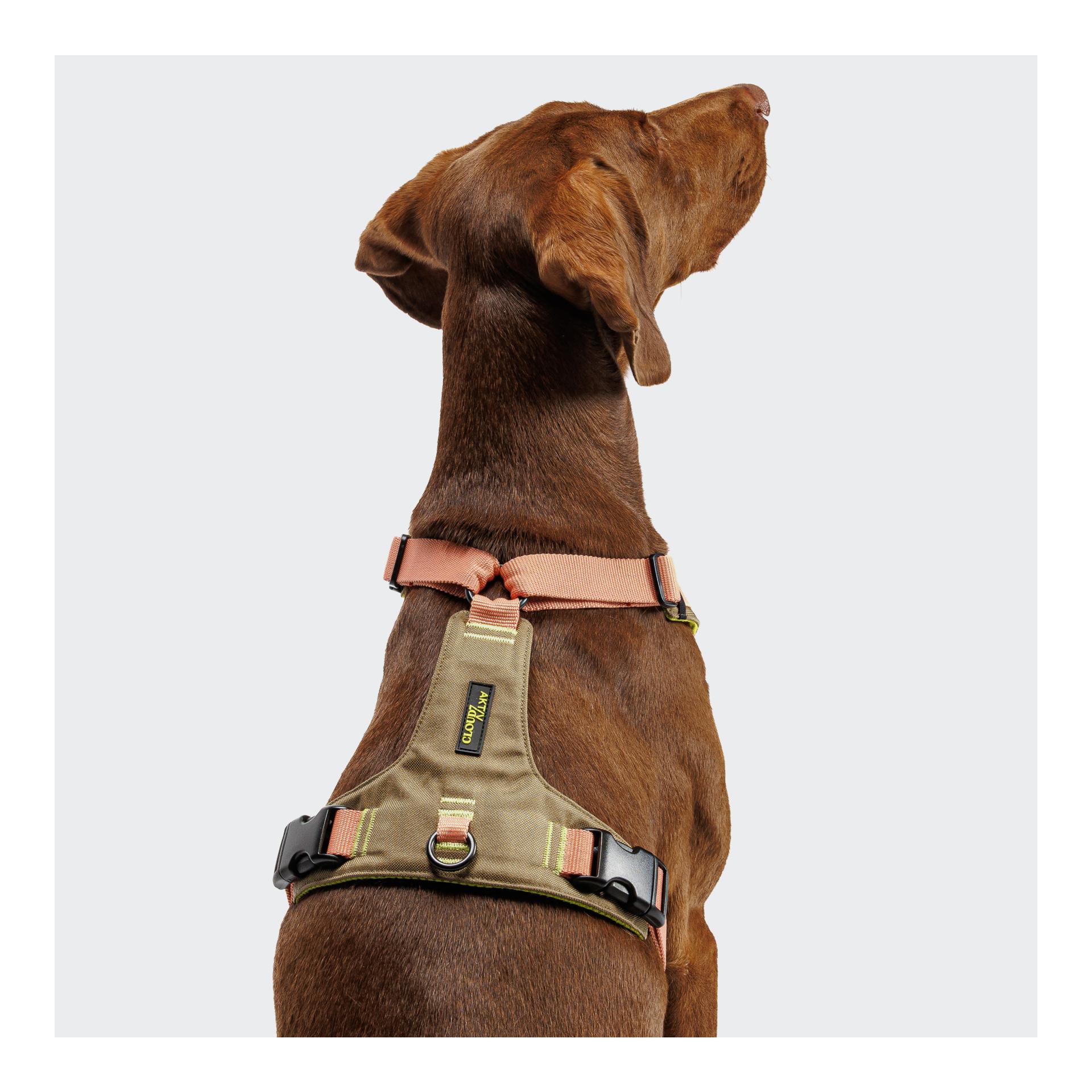 Cloud 7 Harnais pour chien Y-2