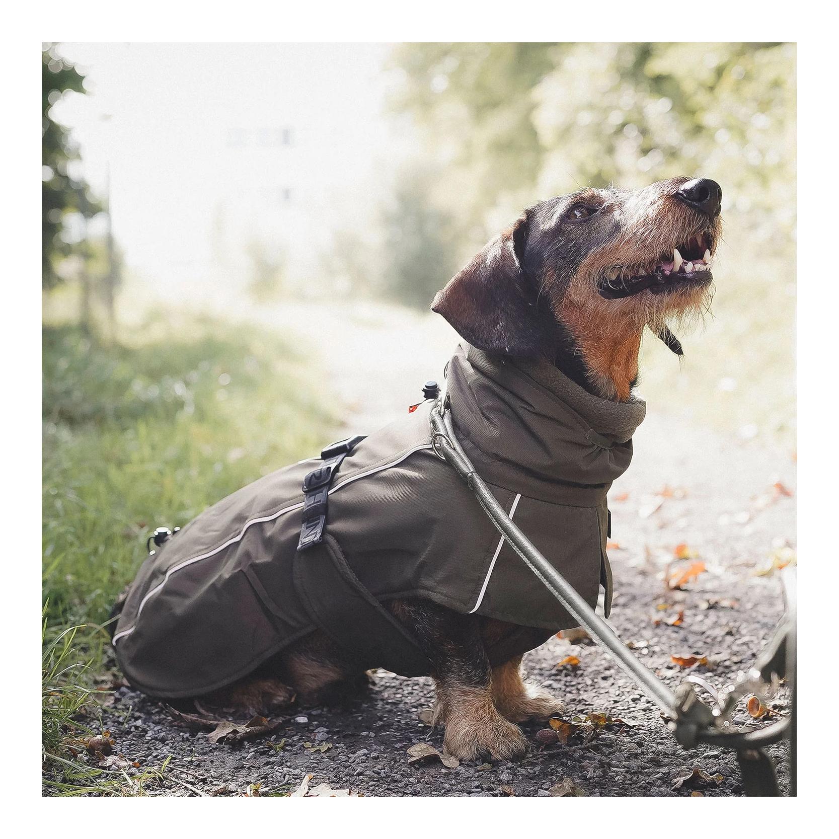 Hunter Manteau pour chien Nordby Dachshund