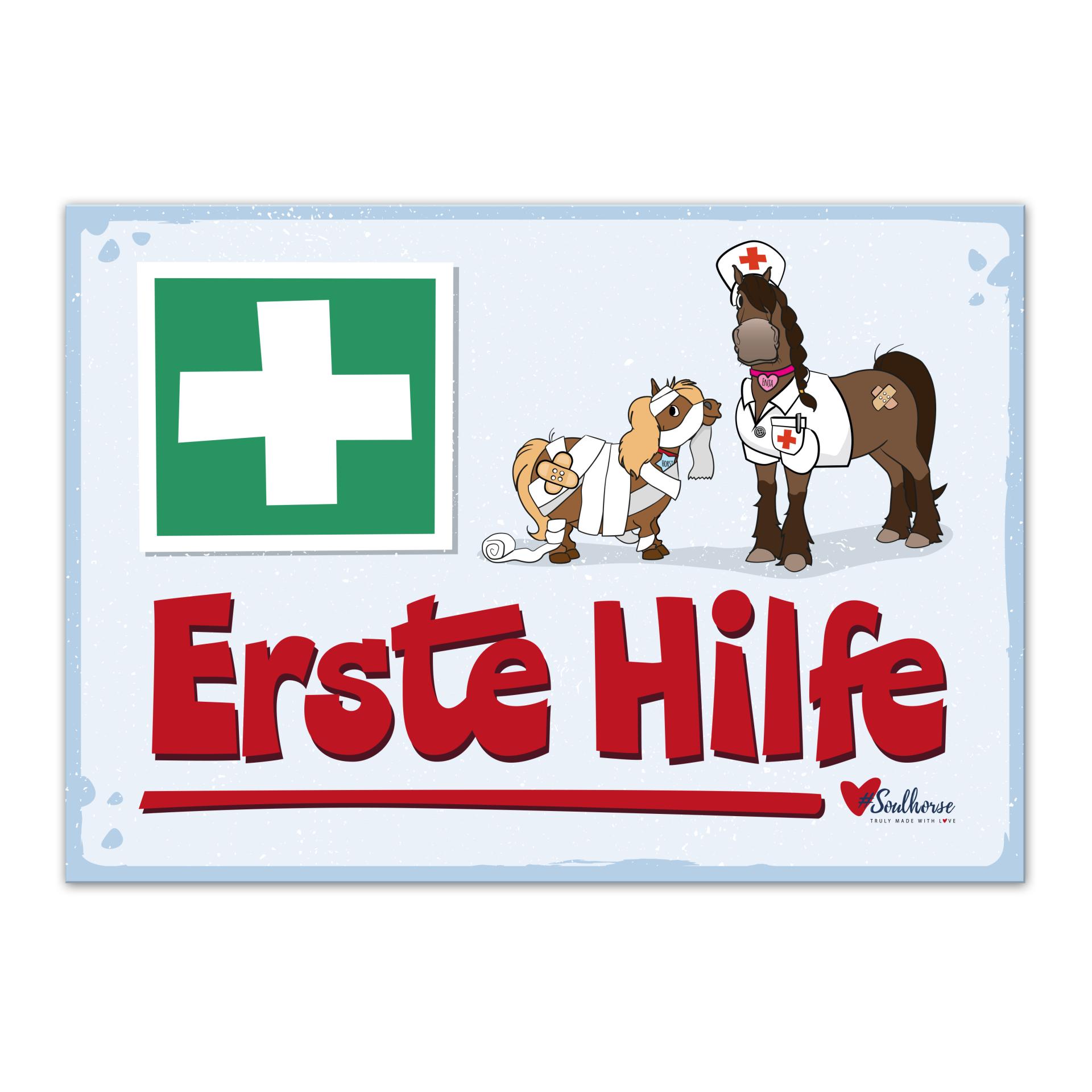 Soulhorse “Erste Hilfe” Stallschild Multicolor