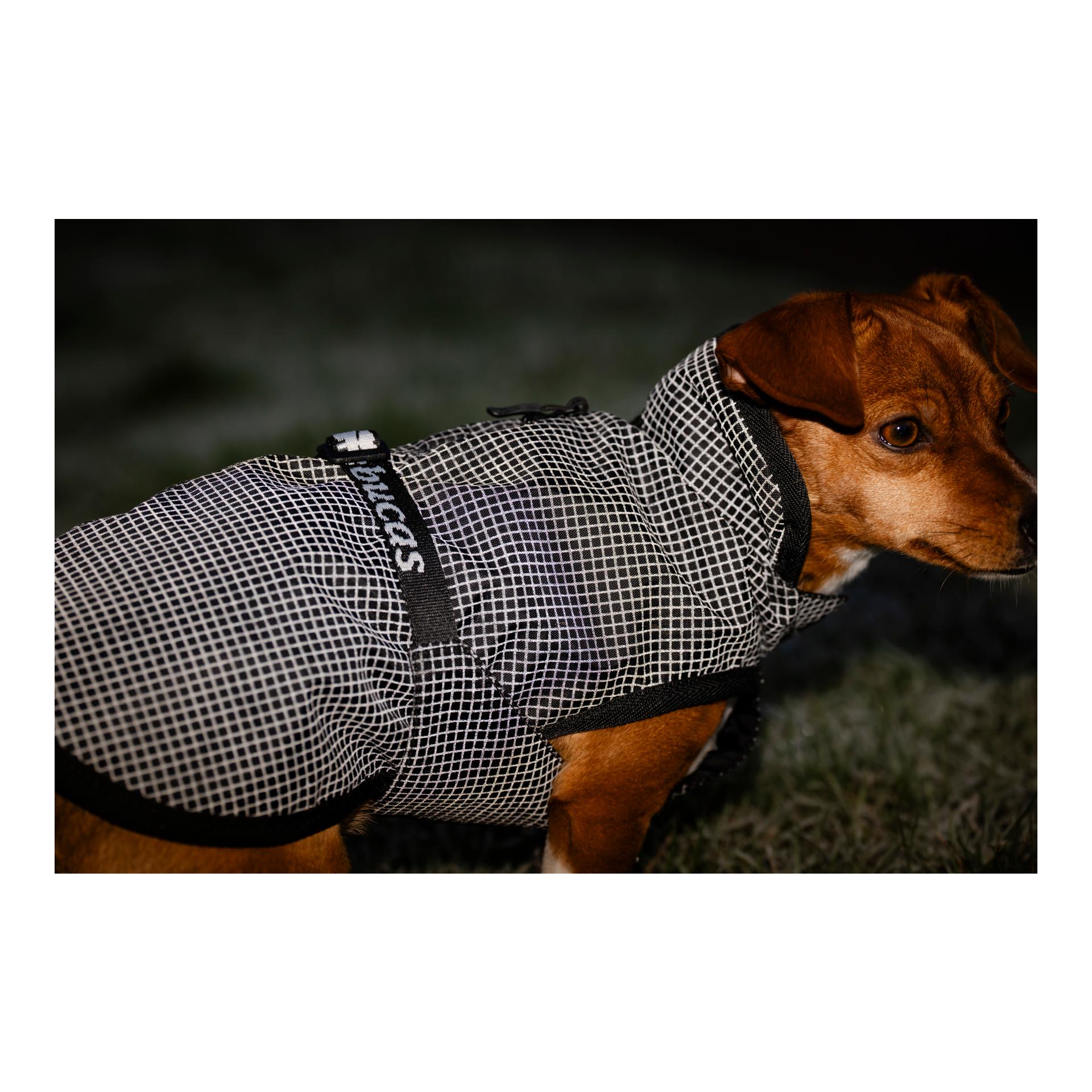 Bucas Manteau pour chien Reflectglow