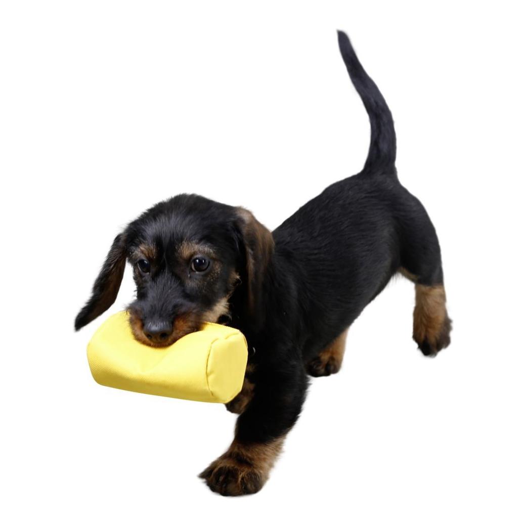 Kerbl Pet Snackdummy - jaune