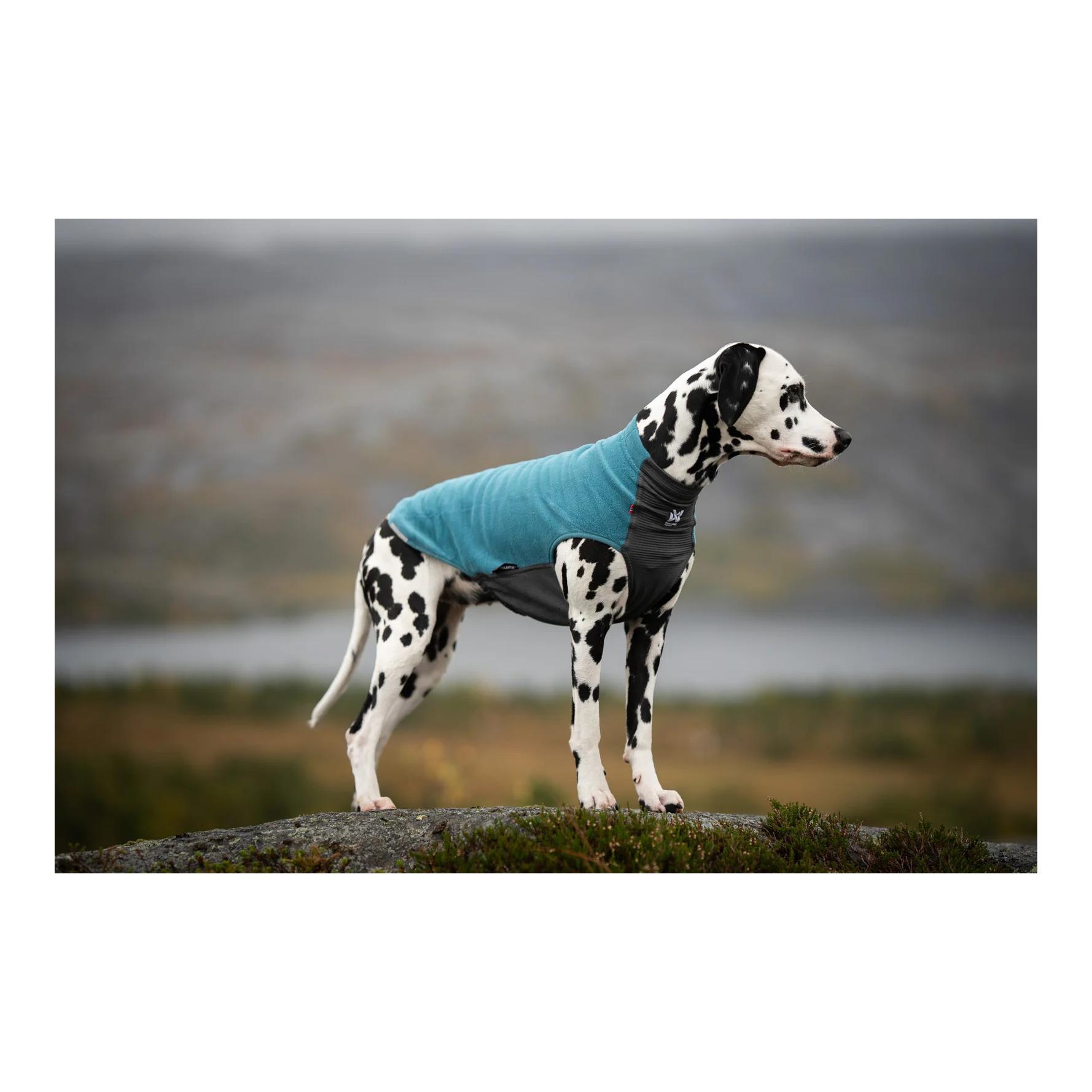 Non-stop Dogwear Pull polaire pour chien Trail quest