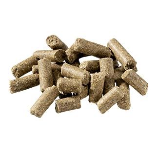 Pavo Pferdefutter Ligue