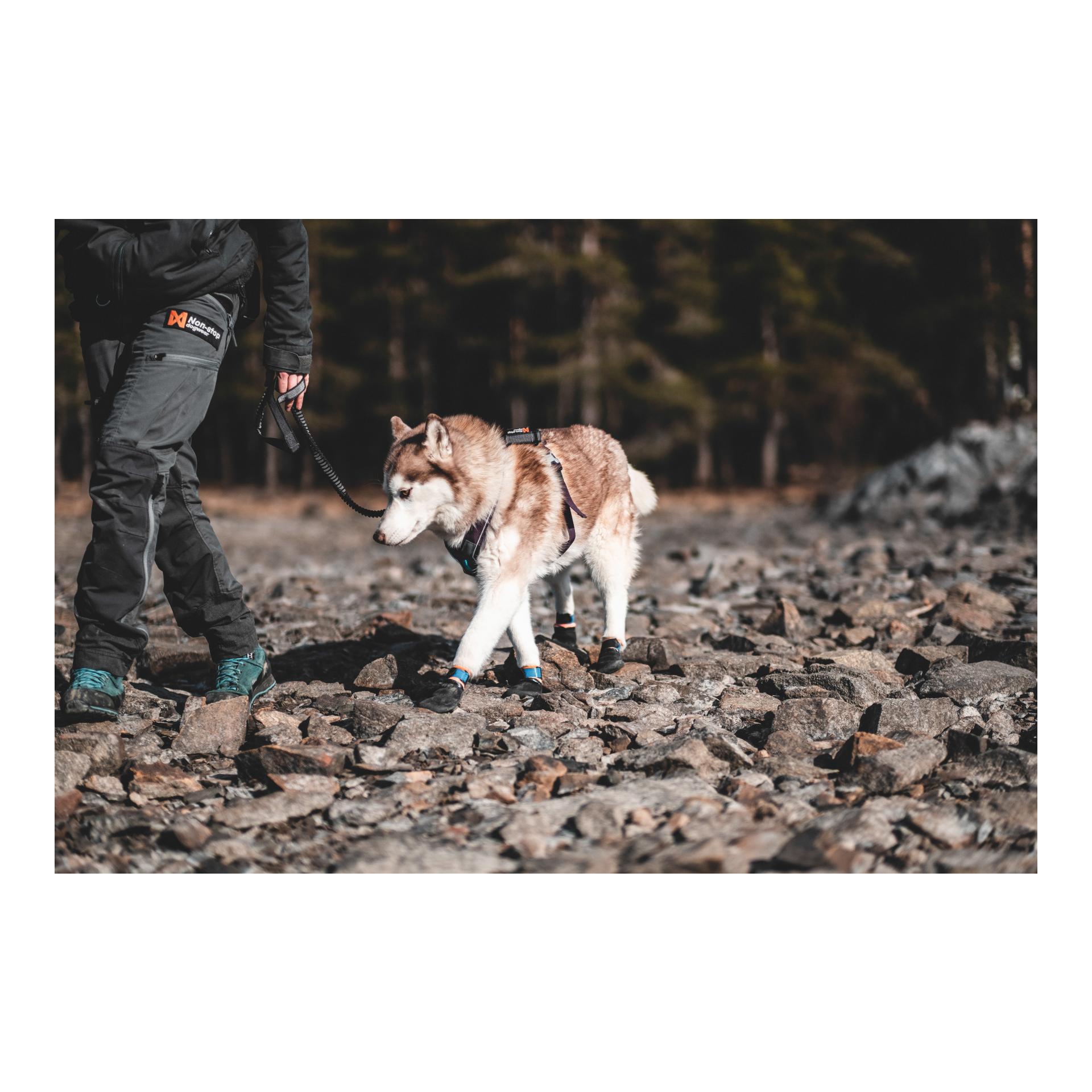 Non-stop Dogwear Protector Booties