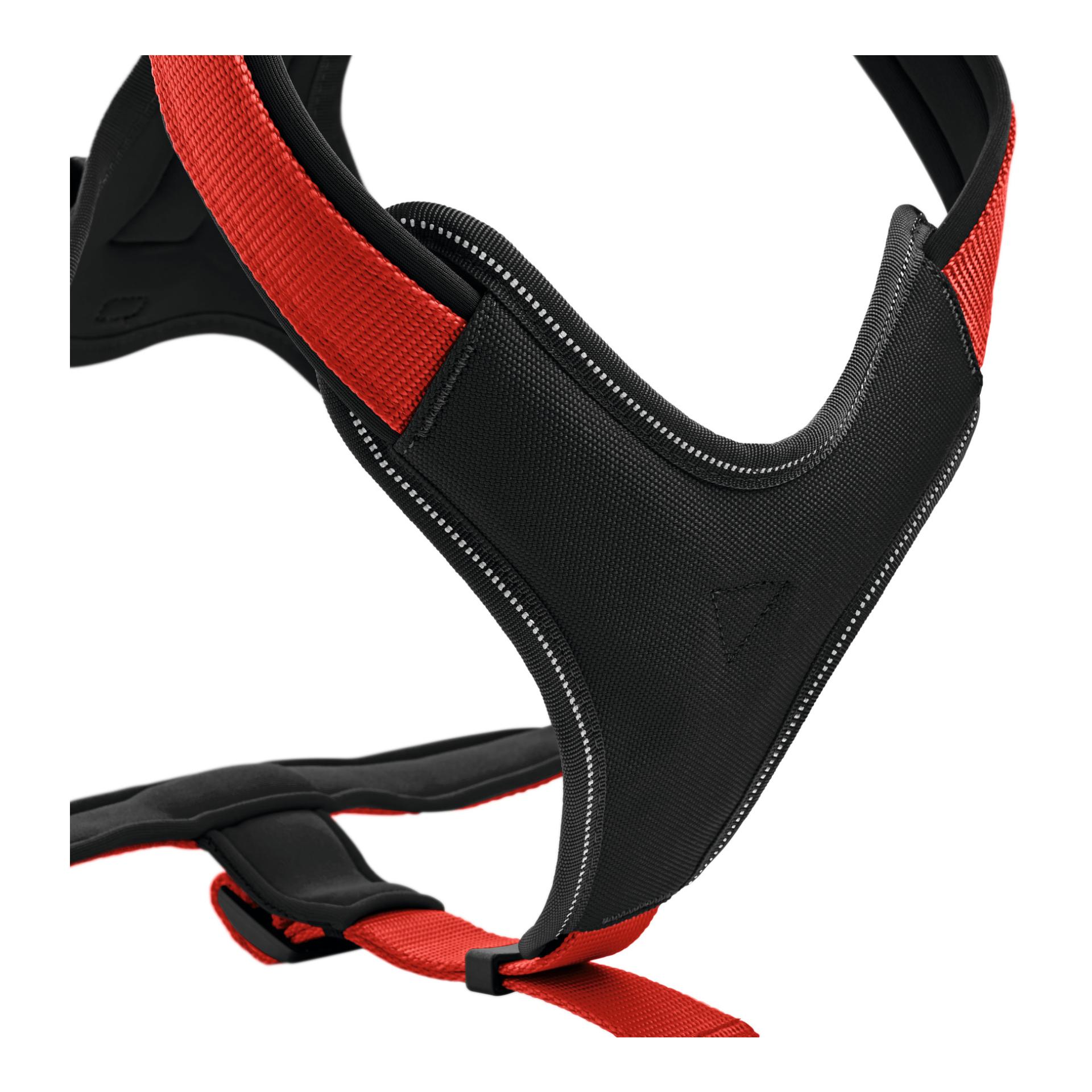 Geschirr Neopren/Nylon - rot/schwarz