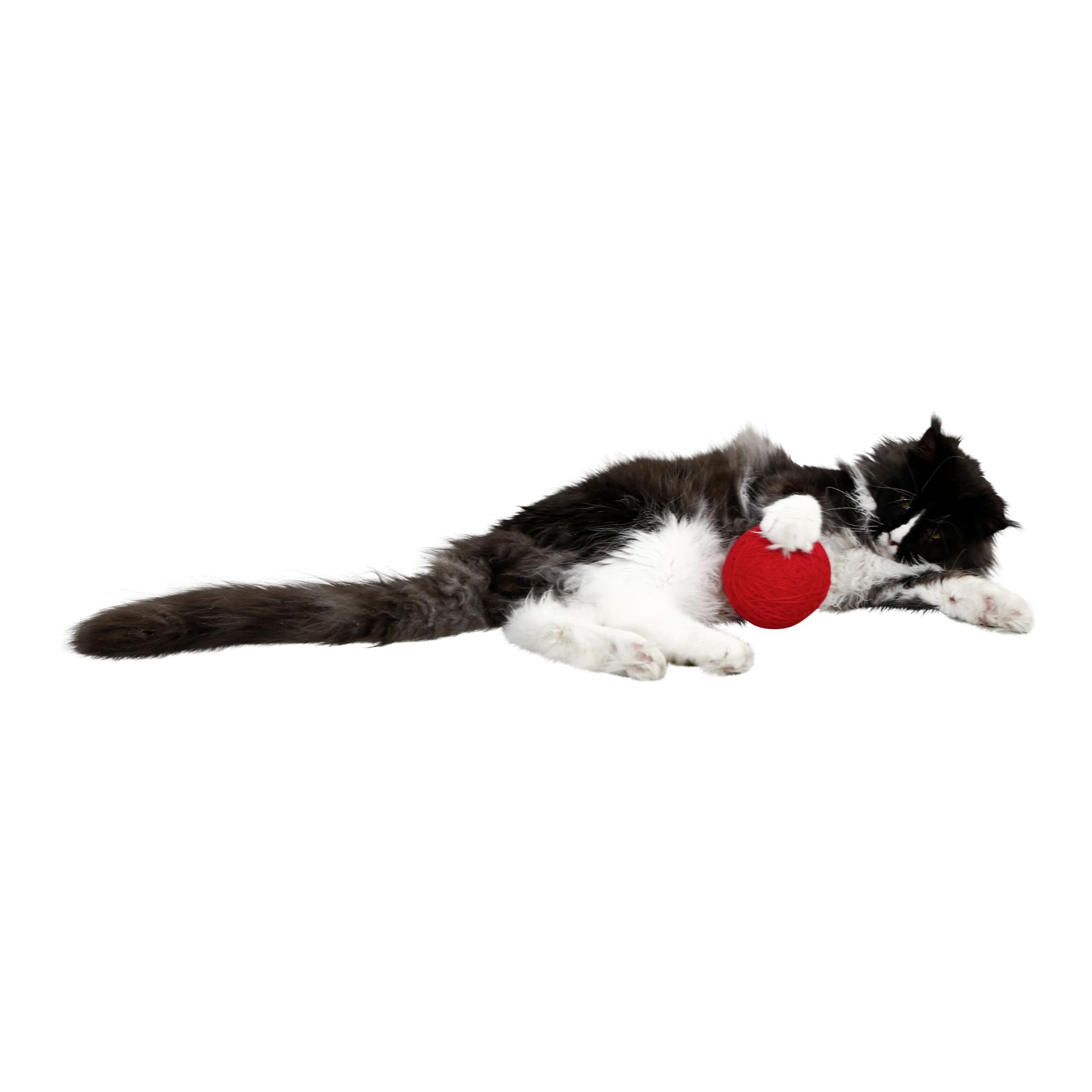 Kerbl Pet Balle en laine pour chats
