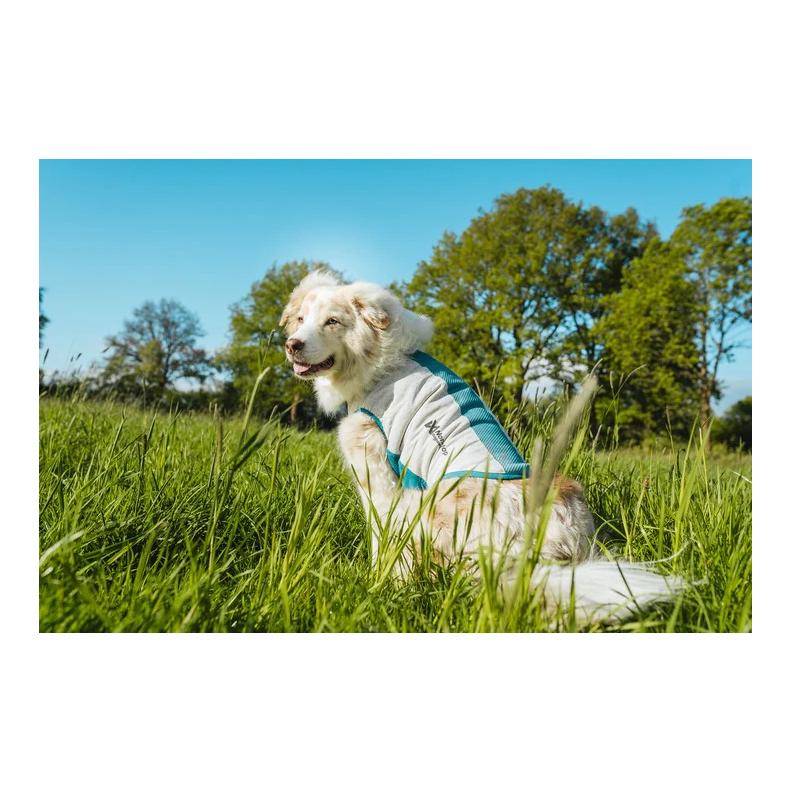 Non-stop Dogwear Veste rafraîchissante pour chien à enfiler