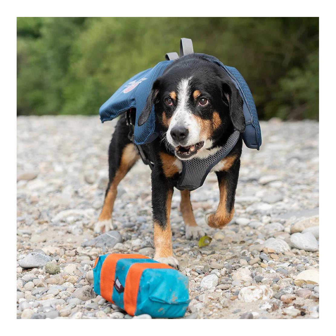 Beat Grossenbacher Schwimmweste für Hunde