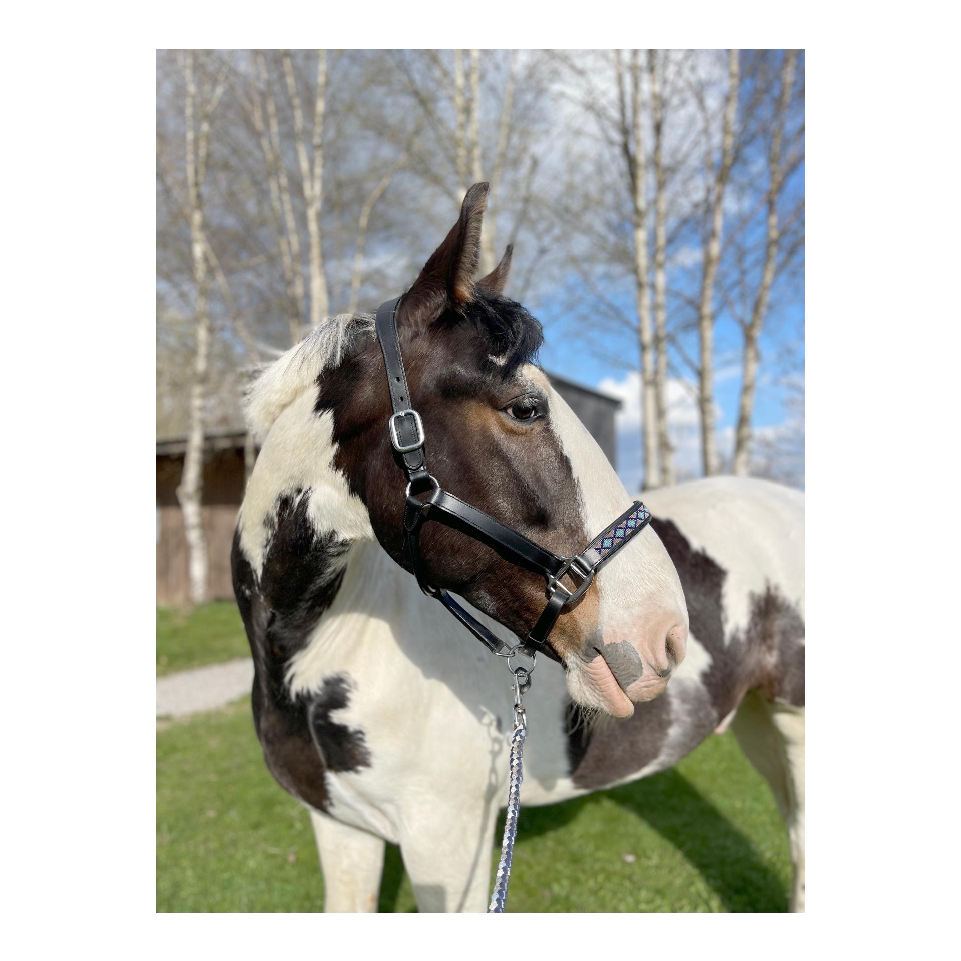 Soulhorse Lederhalfter Pearls