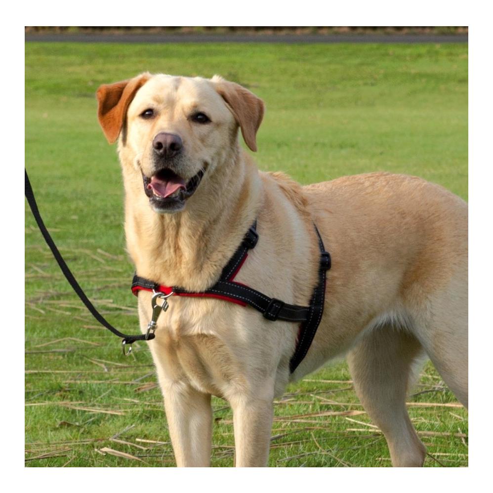 TRIXIE Lead'n'Walk Soft Erziehungsgeschirr - schwarz
