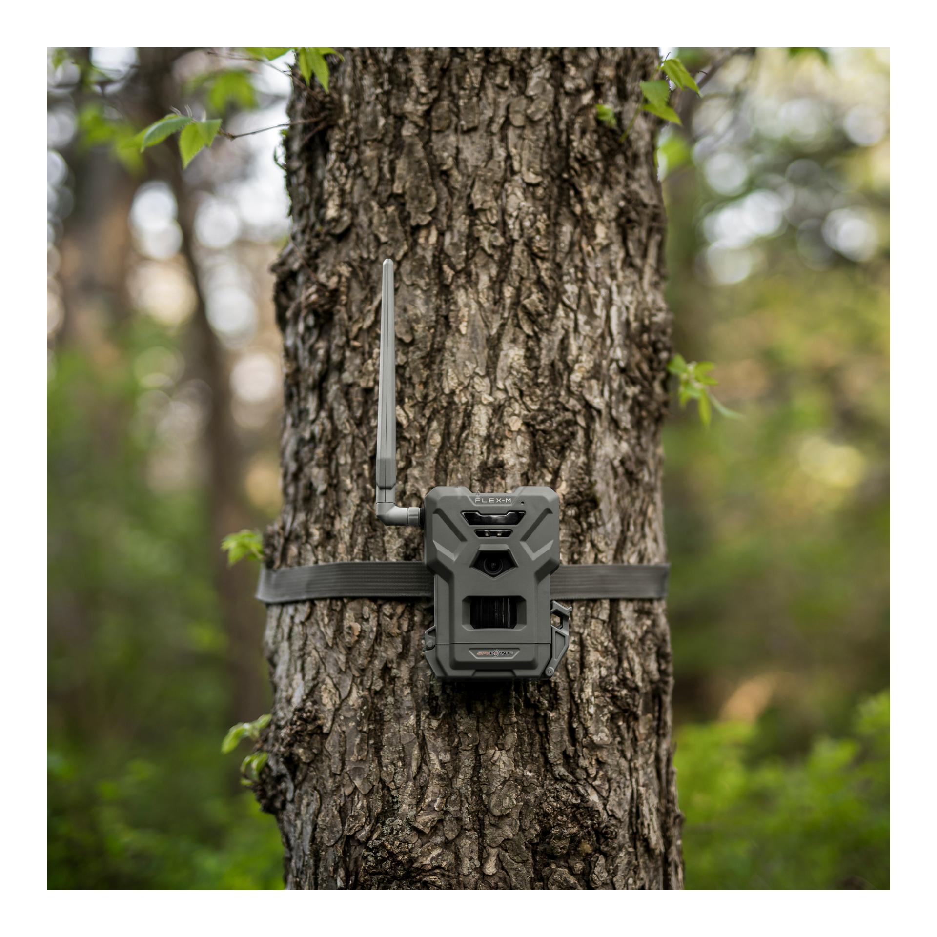 Spypoint Wildkamera FLEX-M Twin Pack