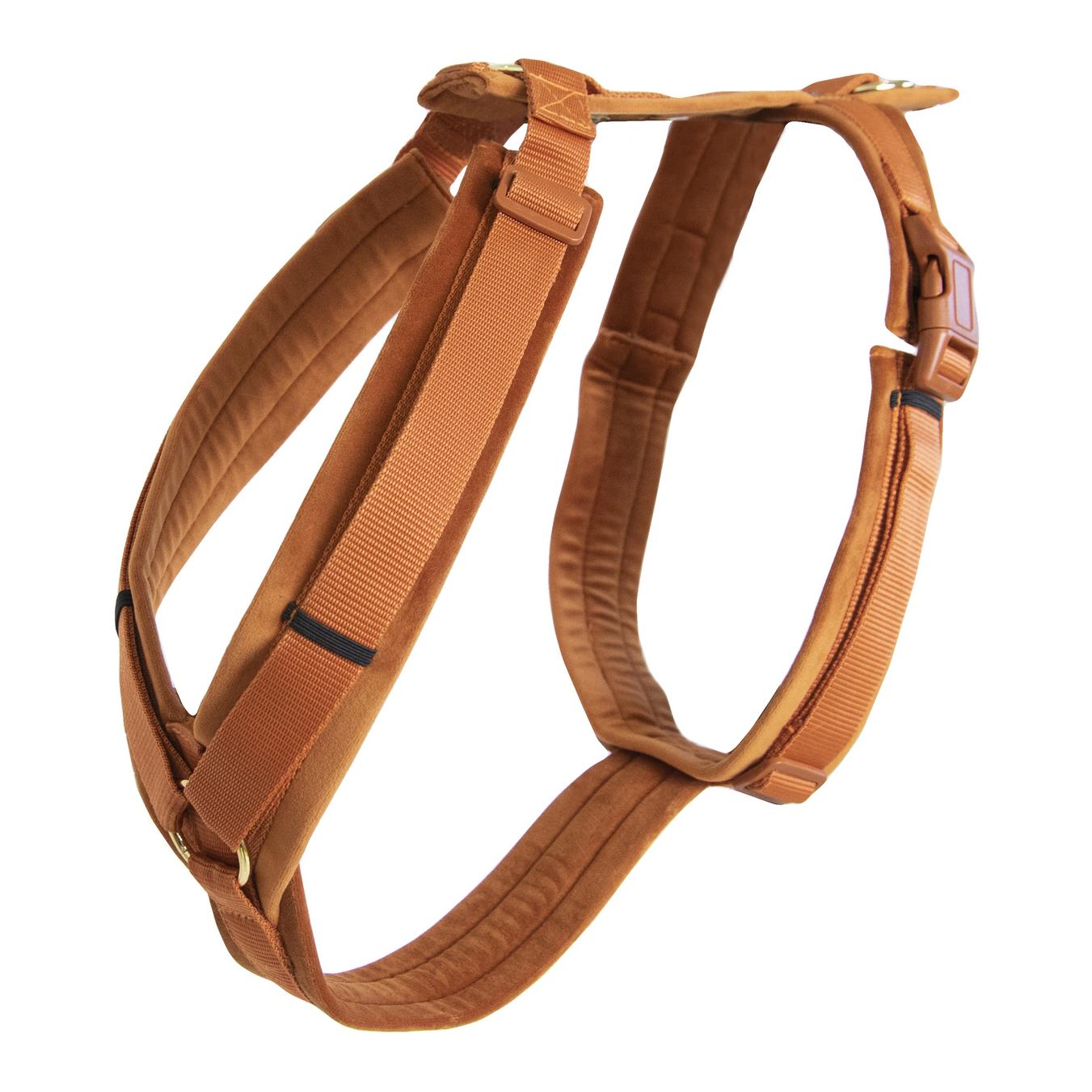 Kentucky Dogwear Harnais pour chien Active Velvet
