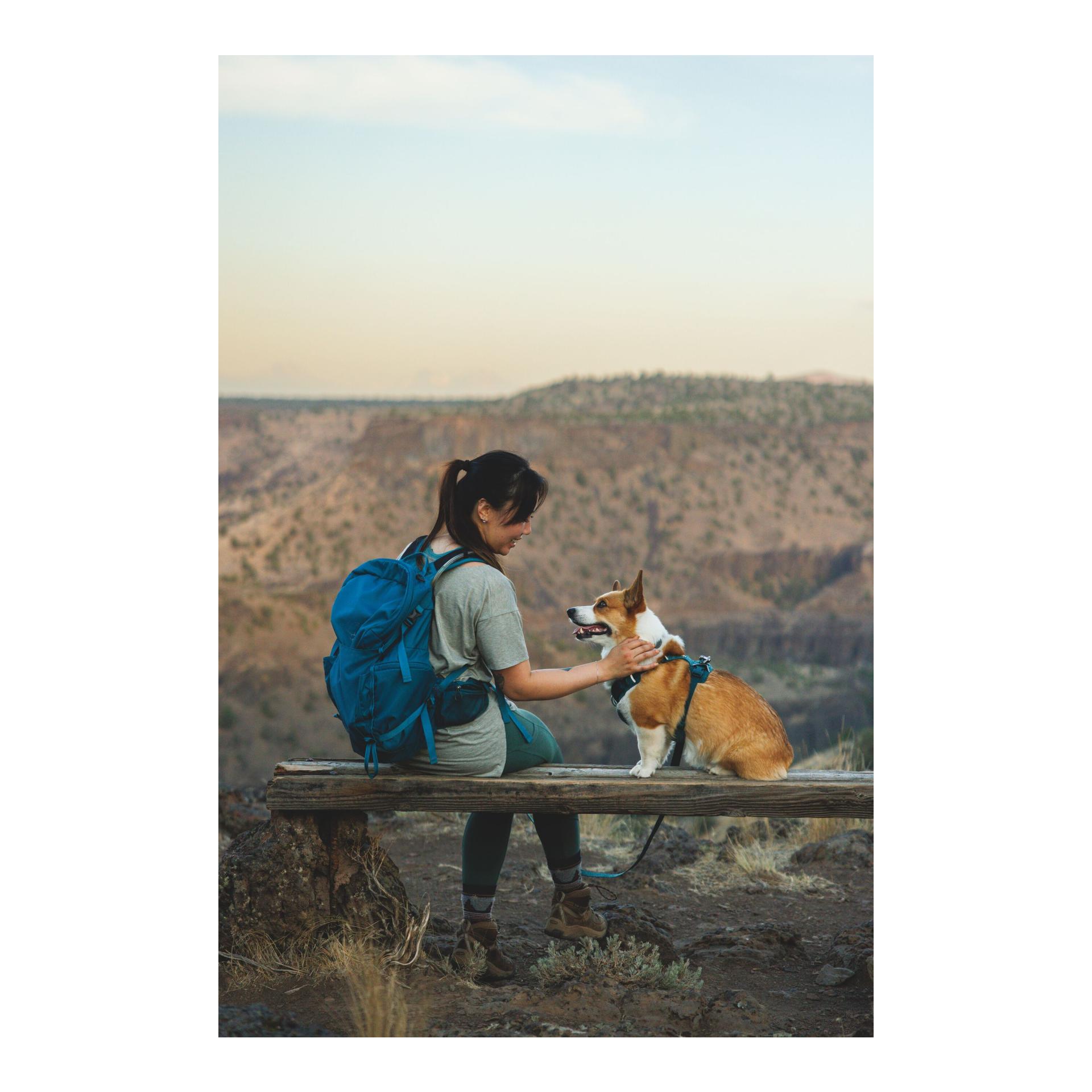 Ruffwear Collier pour chien Front Range™ Flex