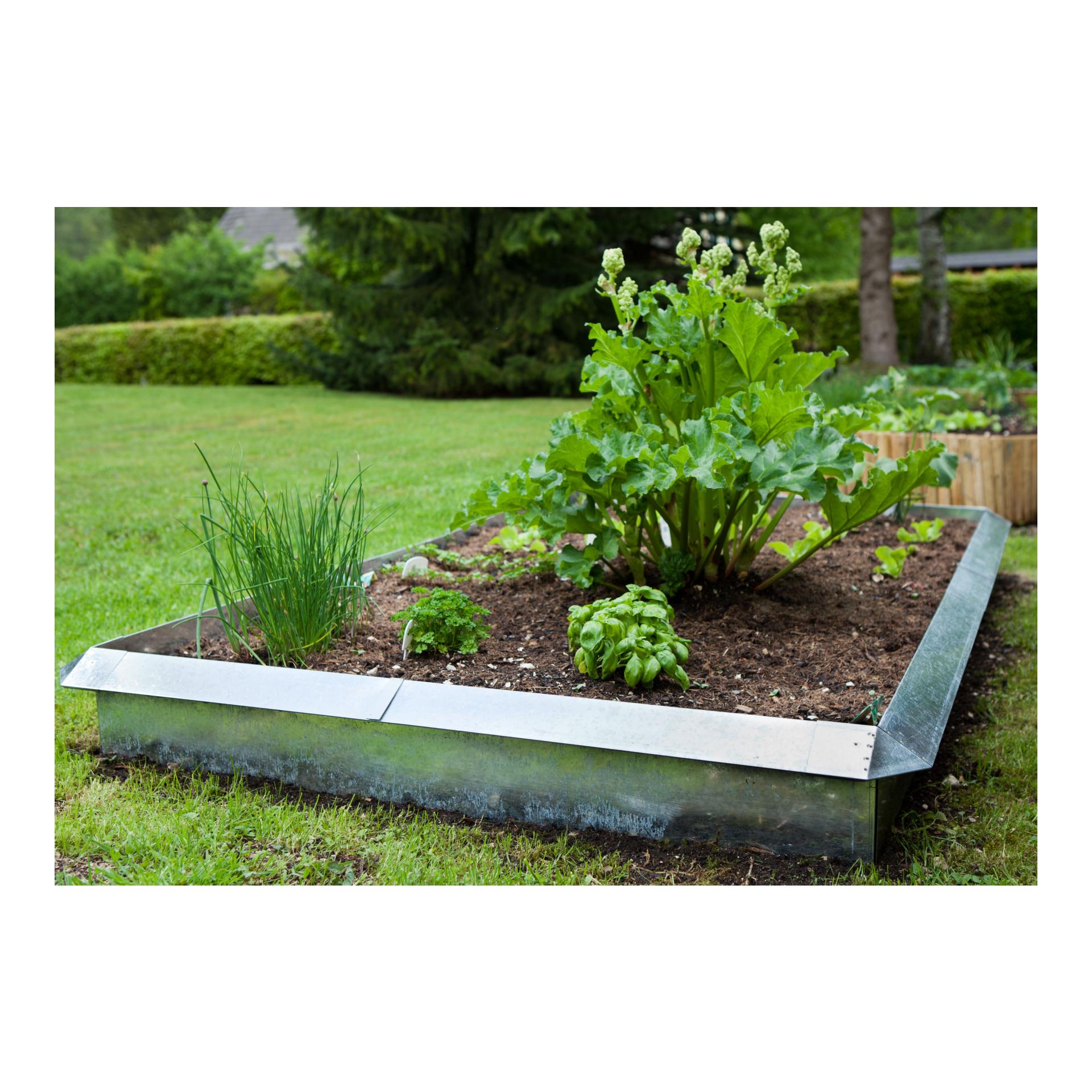 Windhager Paroi pour barrière à limaces - mur