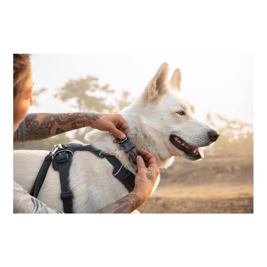 Ruffwear Front Range™ Collier de chien