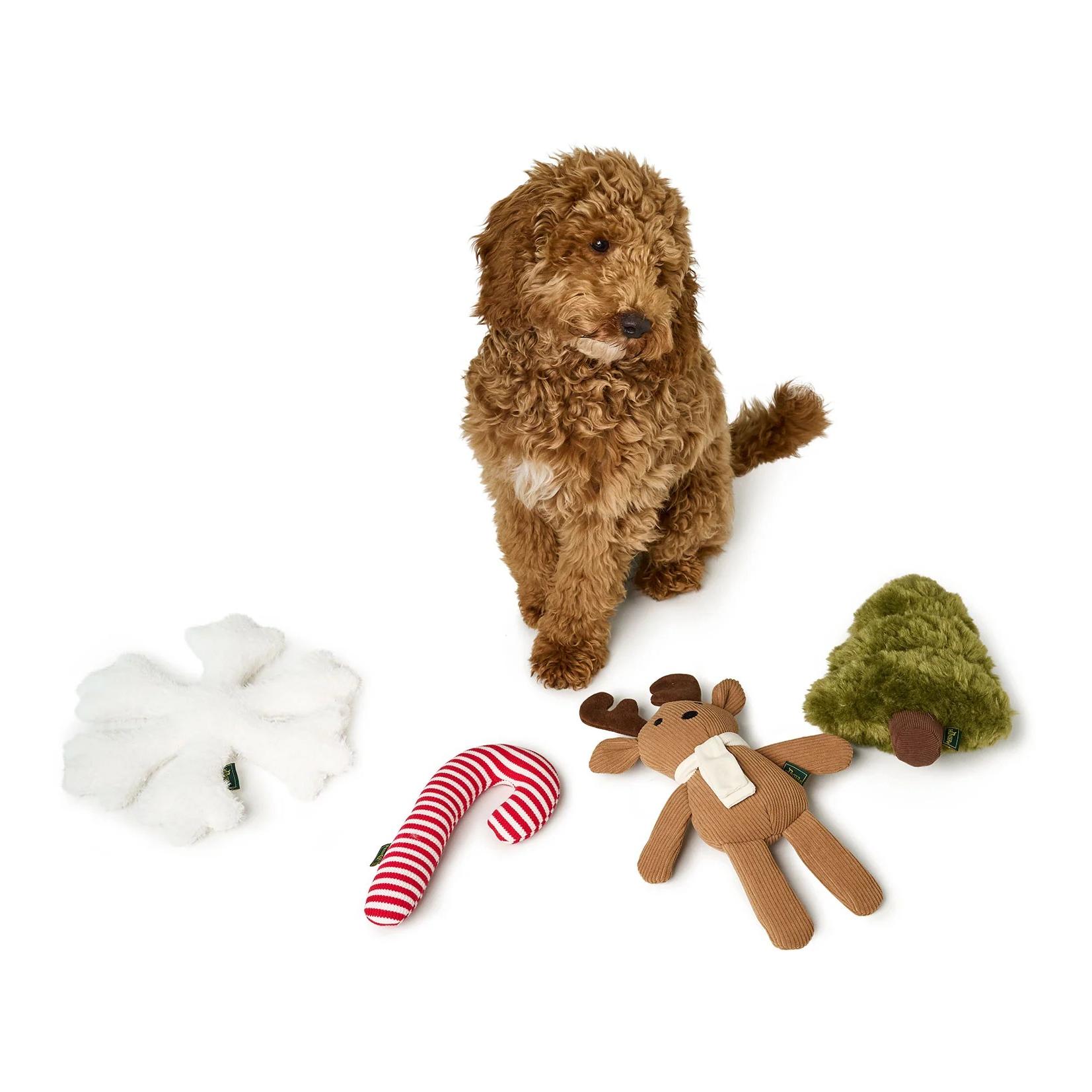 Hunter Jouet pour chien Sitka Flocon de neige